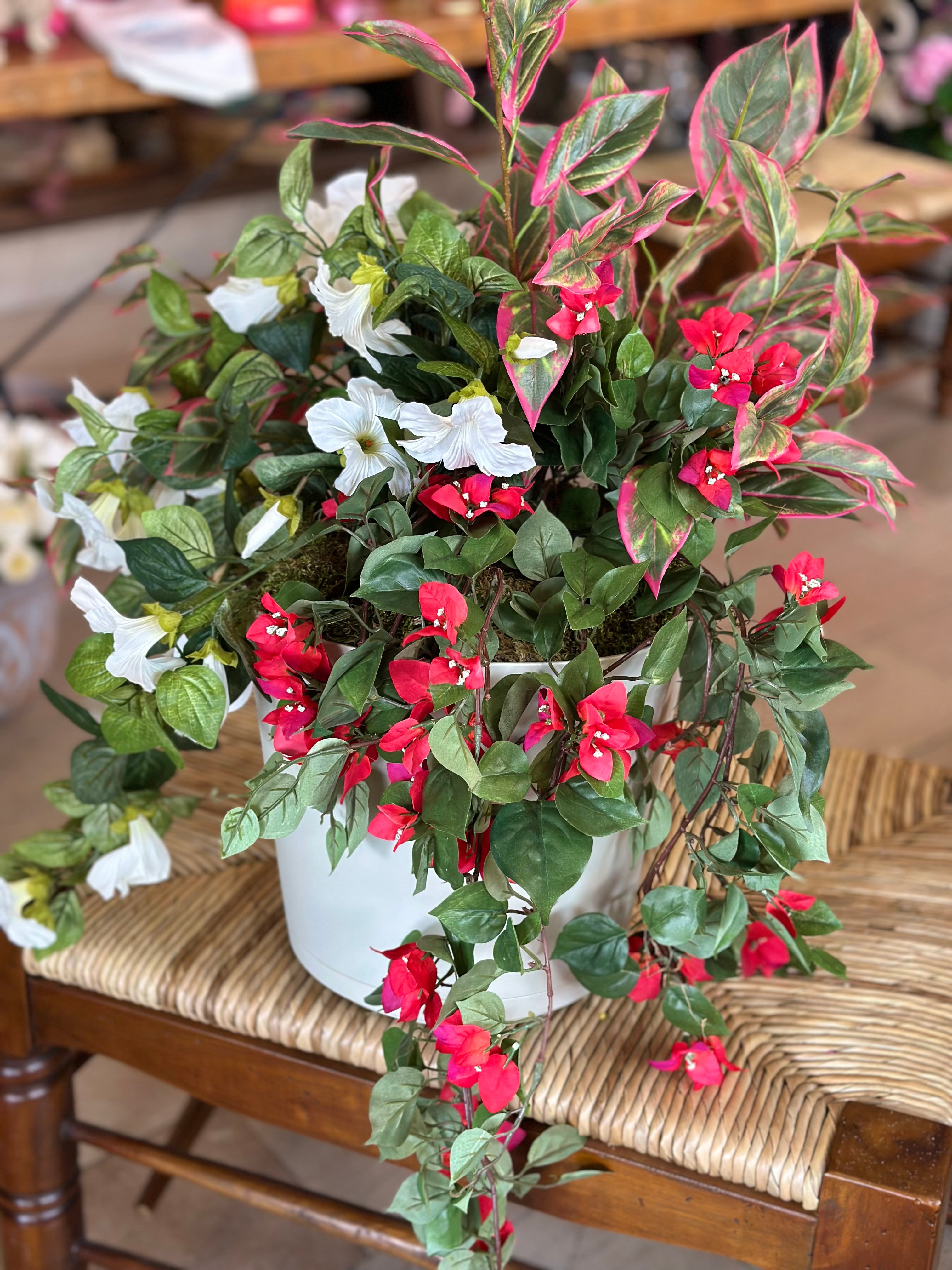 White Petunia with Shades of Dark Pink Pot Filler