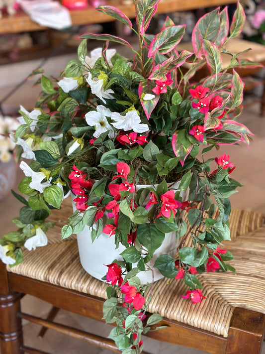 White Petunia with Shades of Dark Pink Pot Filler