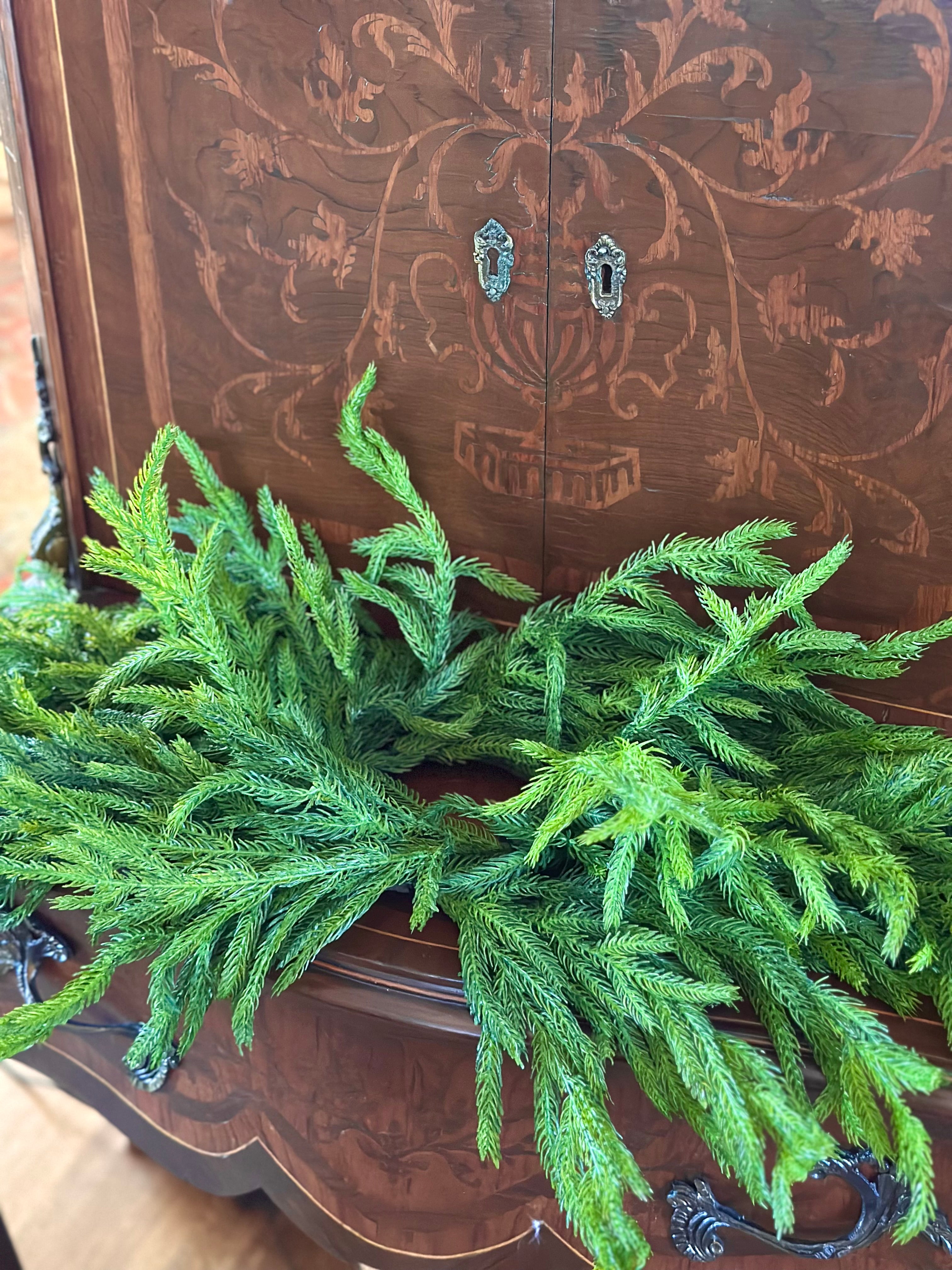 *ONLINE EXCLUSIVE!* 24" JUST CUT NORFOLK PINE CENTERPIECE