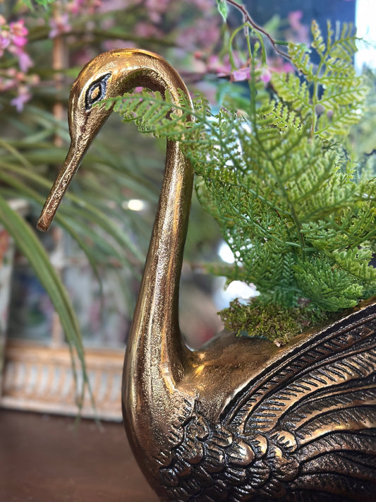 Swan & Fern