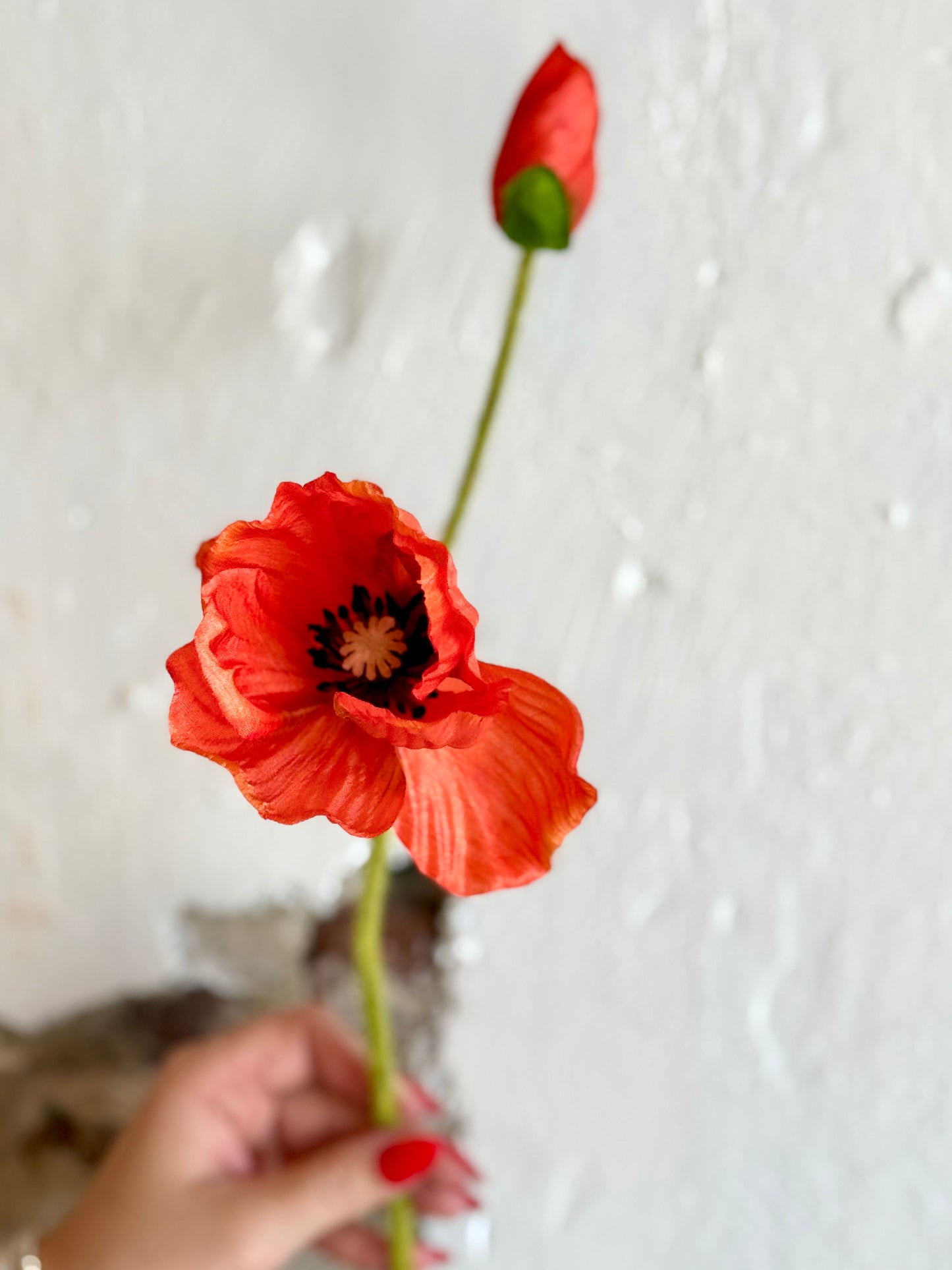 25” Poppy Stem and Bud (Multiple Options)