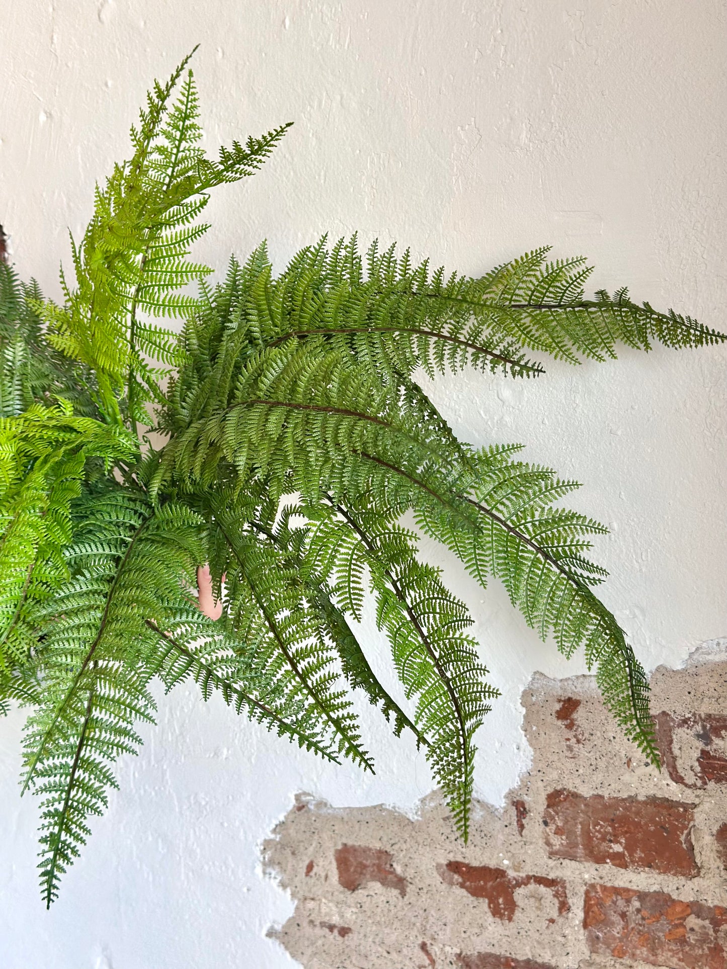 LEATHER FERN BUSH 34"