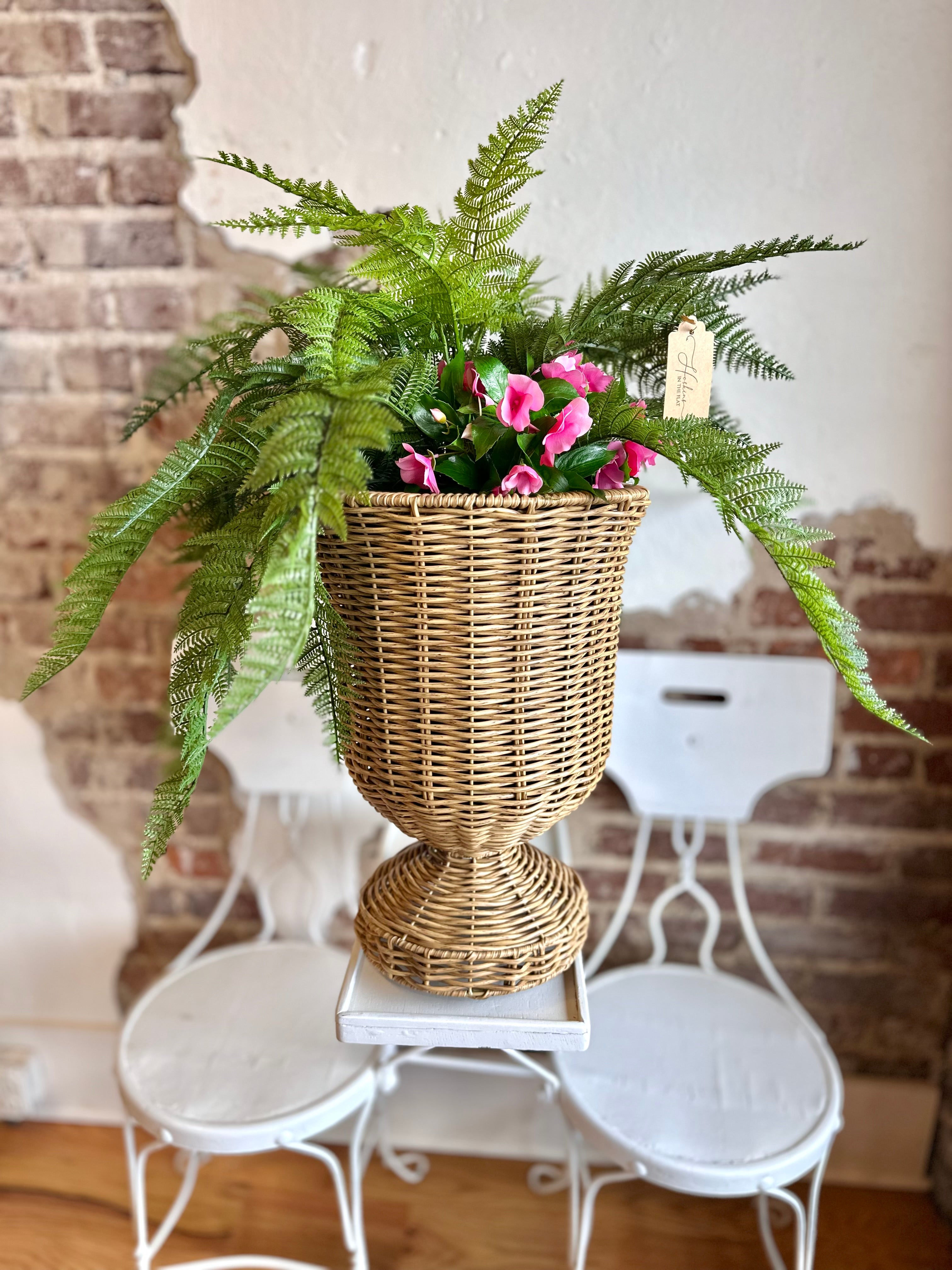 UV Pink Impatiens & Fern Potted Arrangement