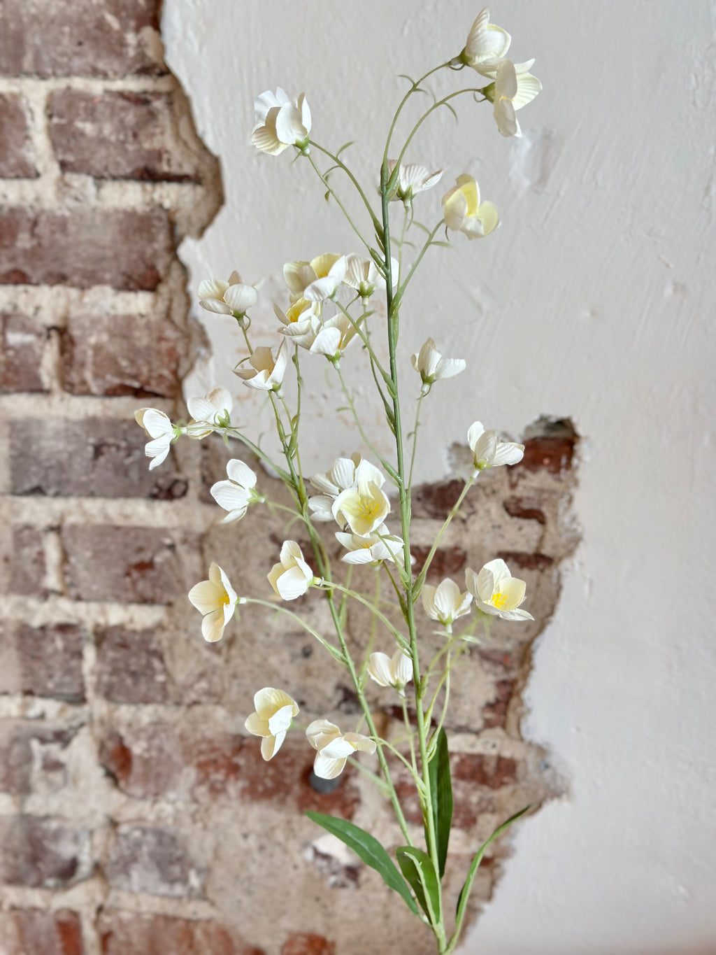 37.5" Buttercup Spray- Cream