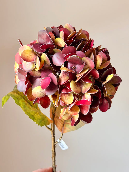 23"JUST CUT AUTUMN HYDRAGNEA