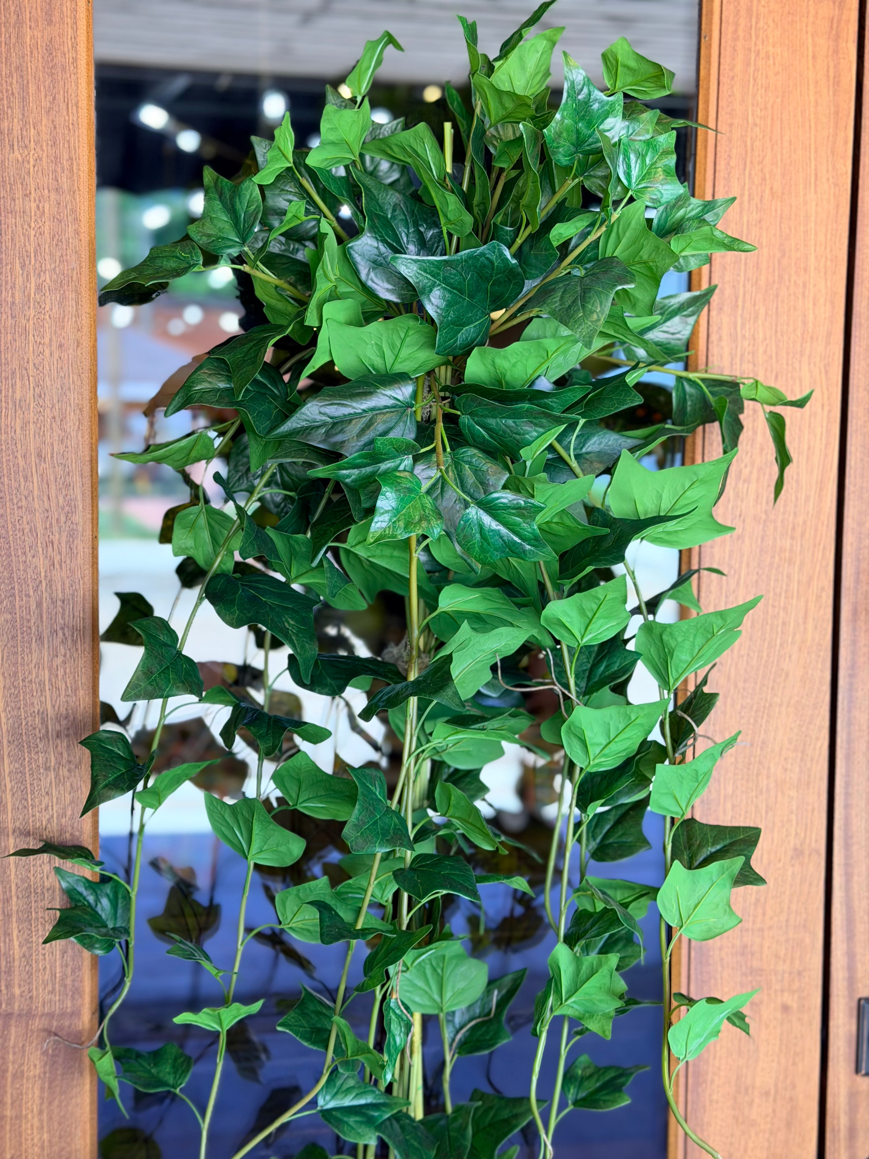 Trailing Ivy Swag