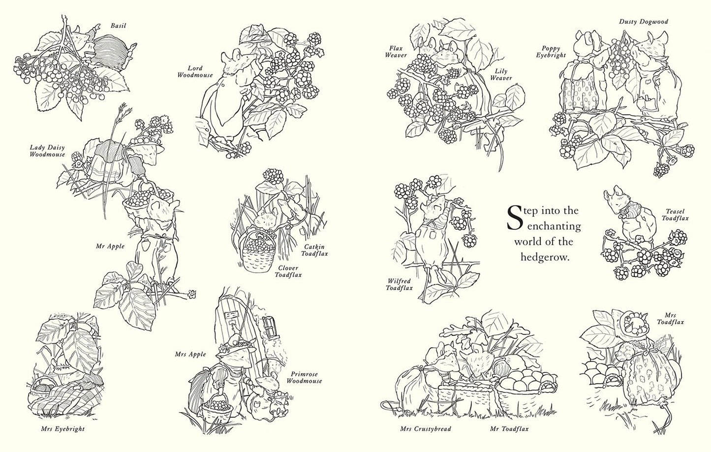 Brambly Hedge Festive Coloring Book