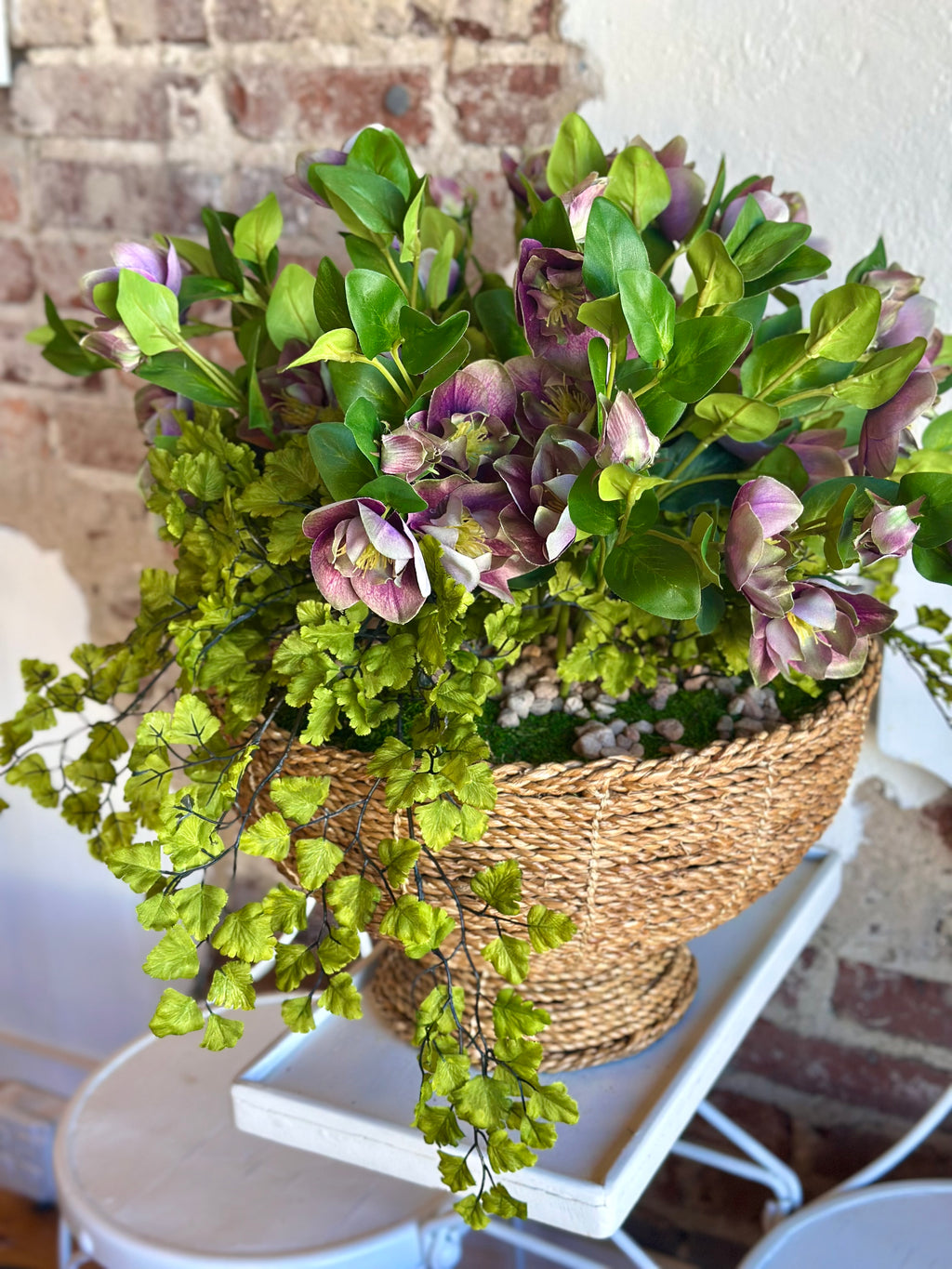 Helleborus Arrangement