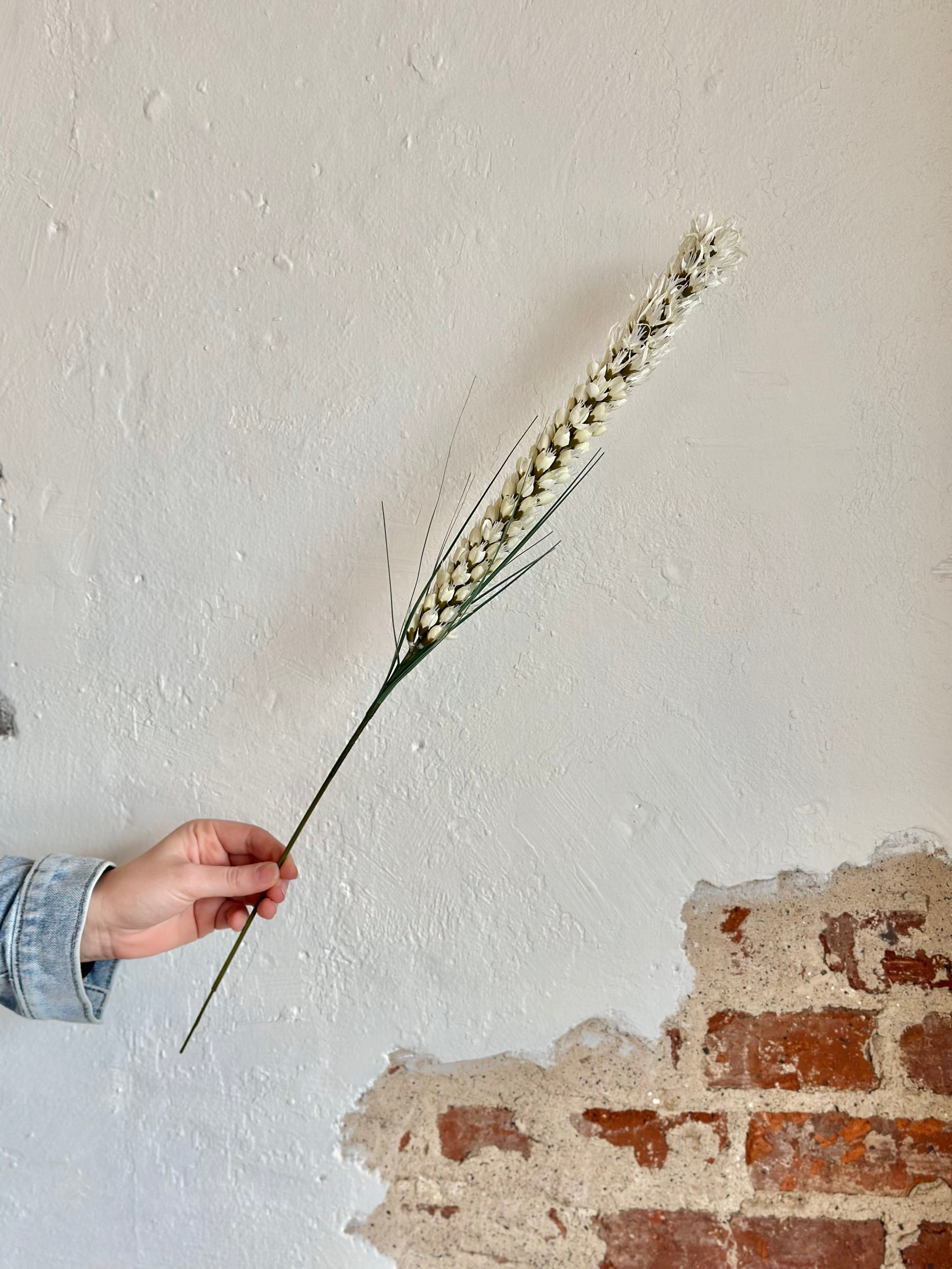 LIATRIS SPRAY 26" CREAM