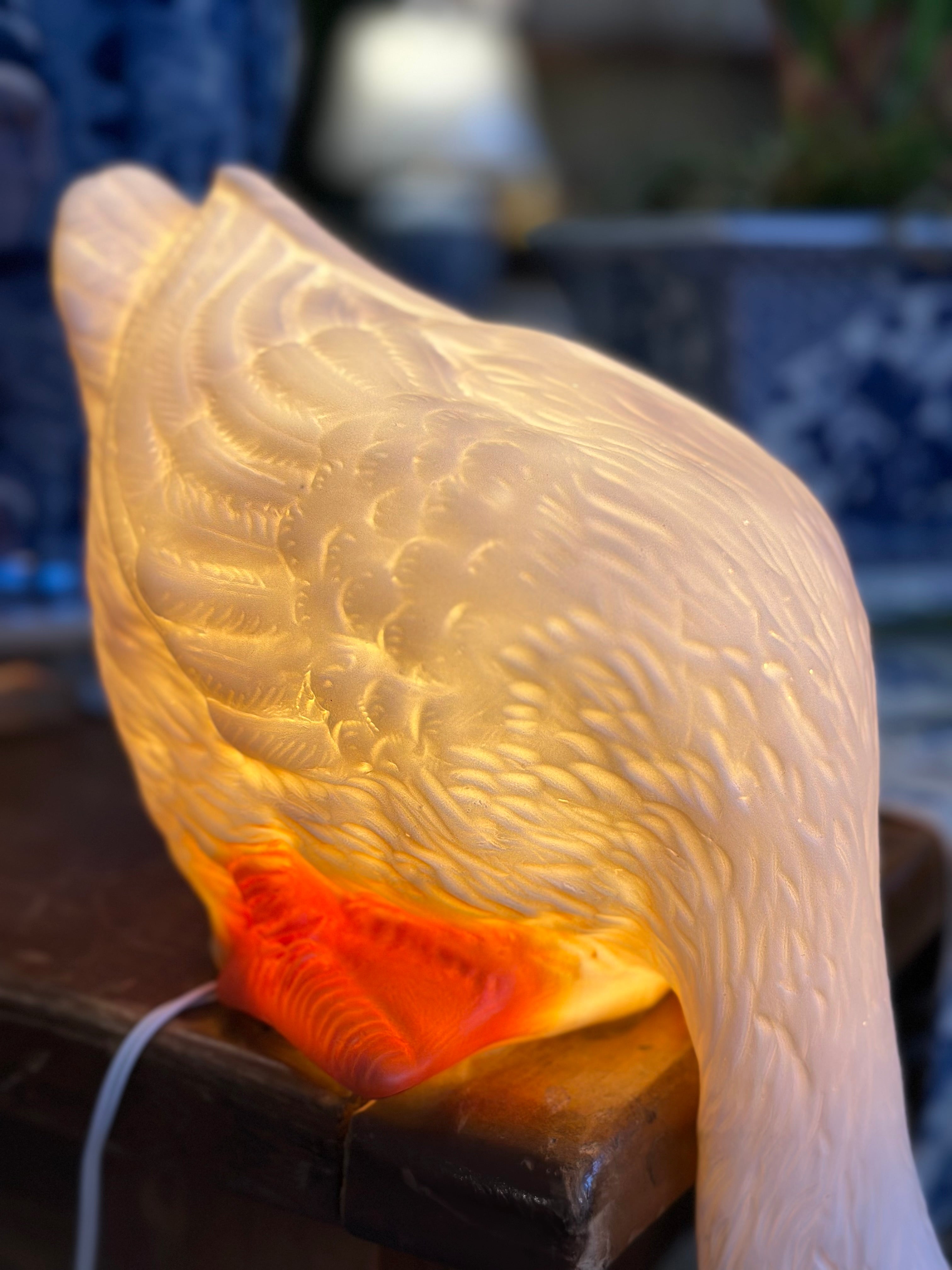 Duck Looking Down Light w/ Plug
