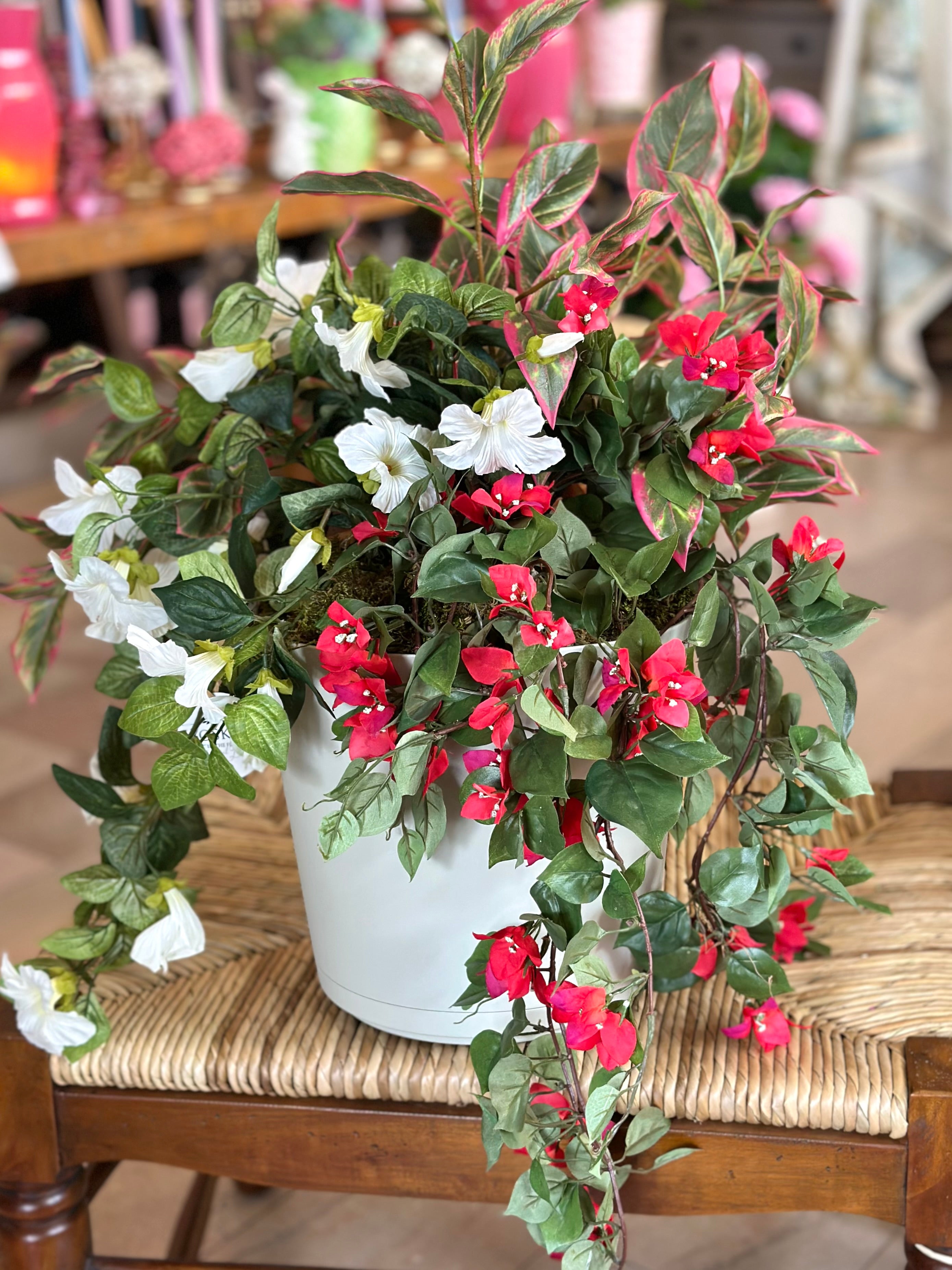 White Petunia with Shades of Dark Pink Pot Filler