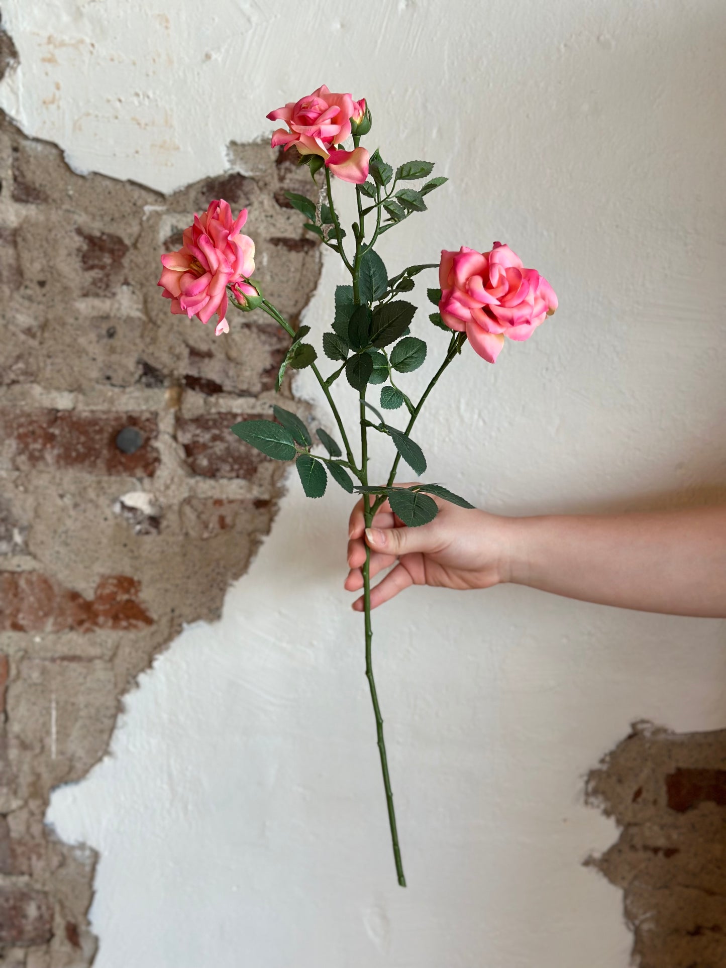 24" Curled Garden Rose