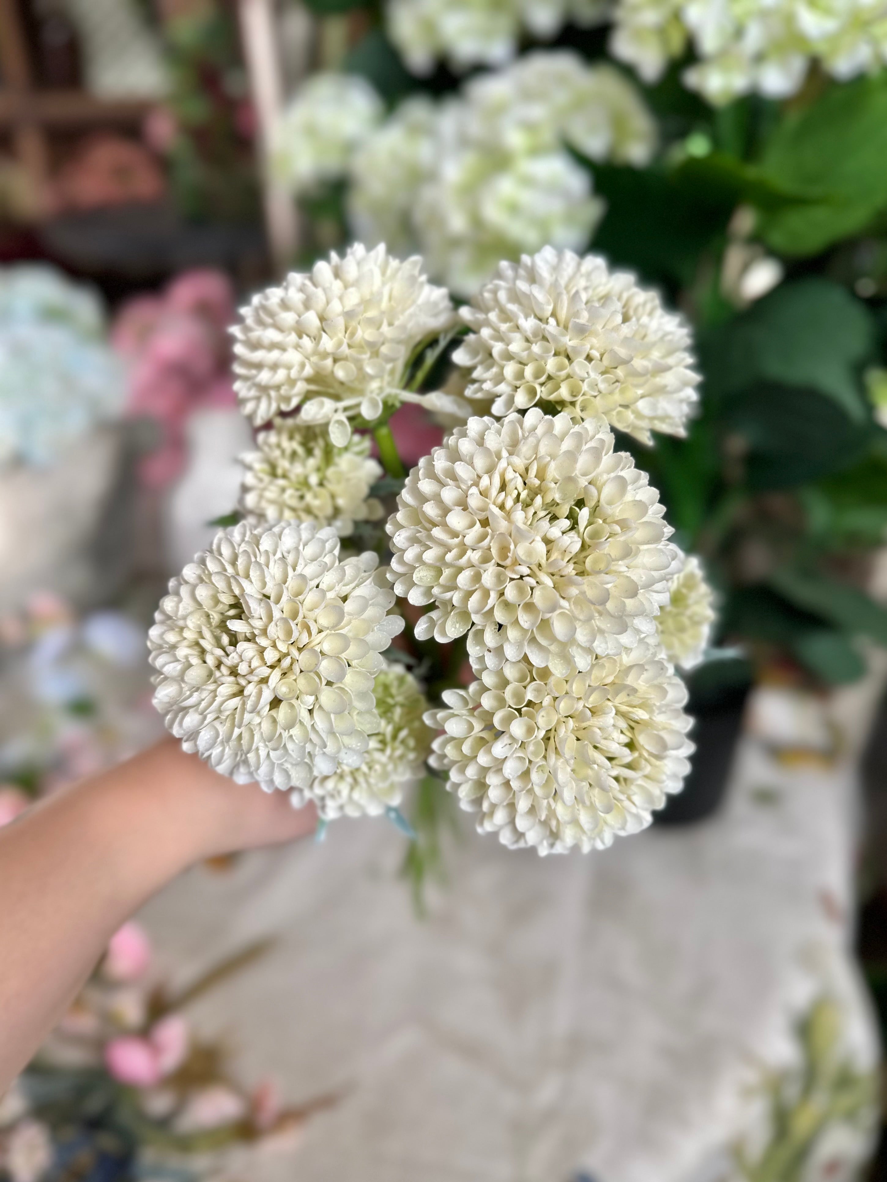 14" SCABIOSA BUNDLE (COLOR OPTIONS)