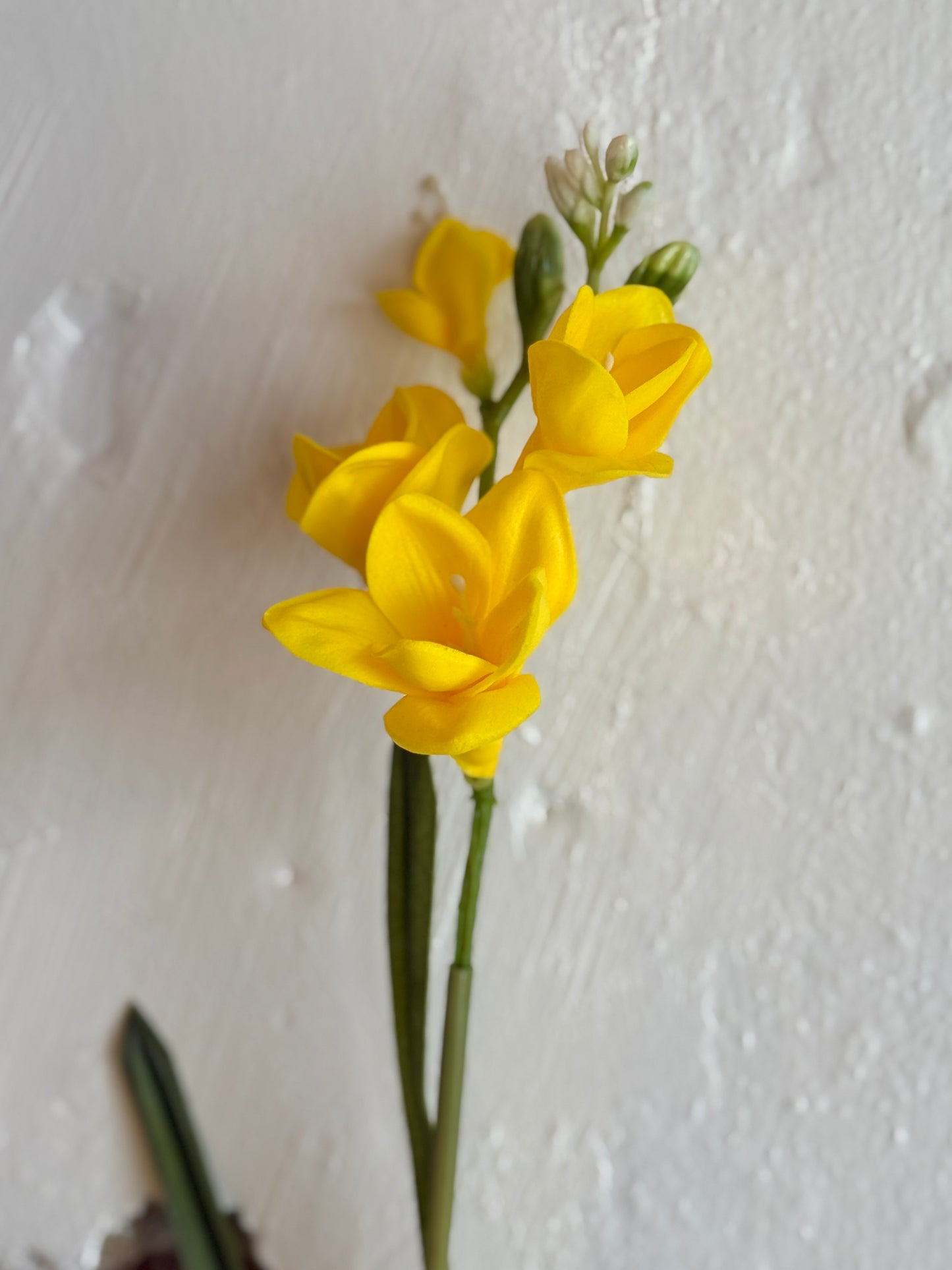 23" FREESIA SPRAY