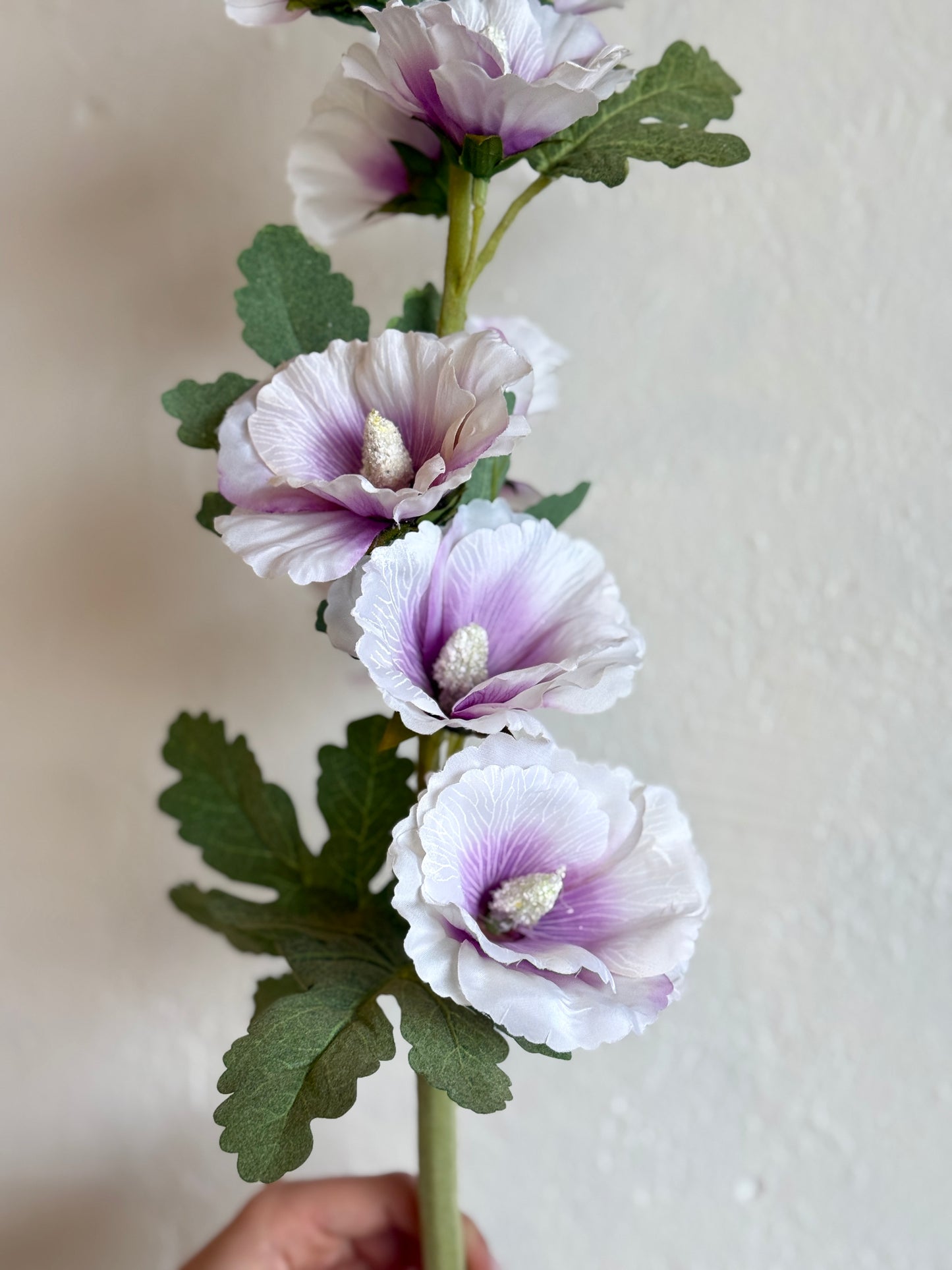 43" Purple Hollyhock Stem