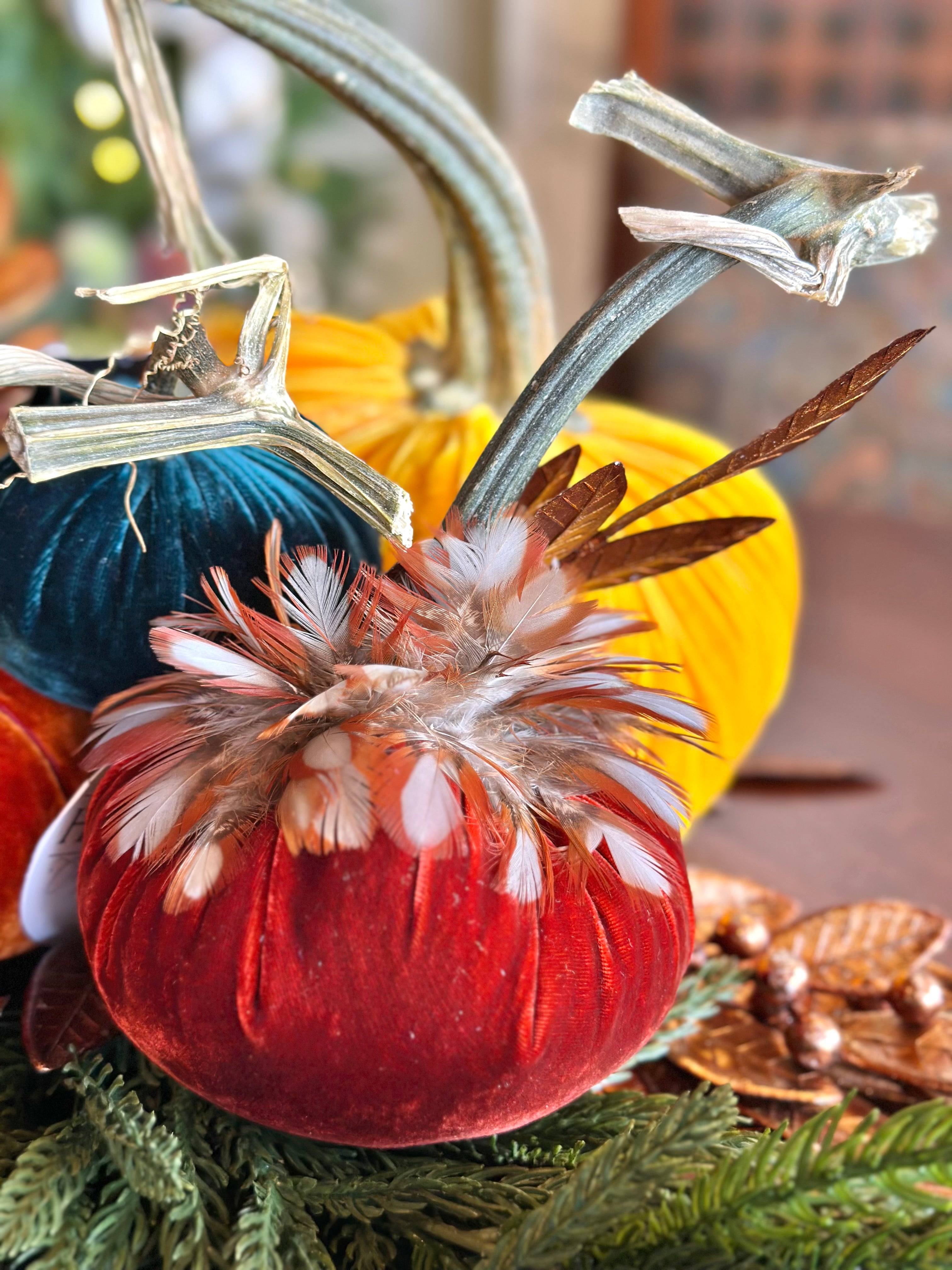 5” Silk Velvet Hot Skwash Pumpkin with Feather Collar