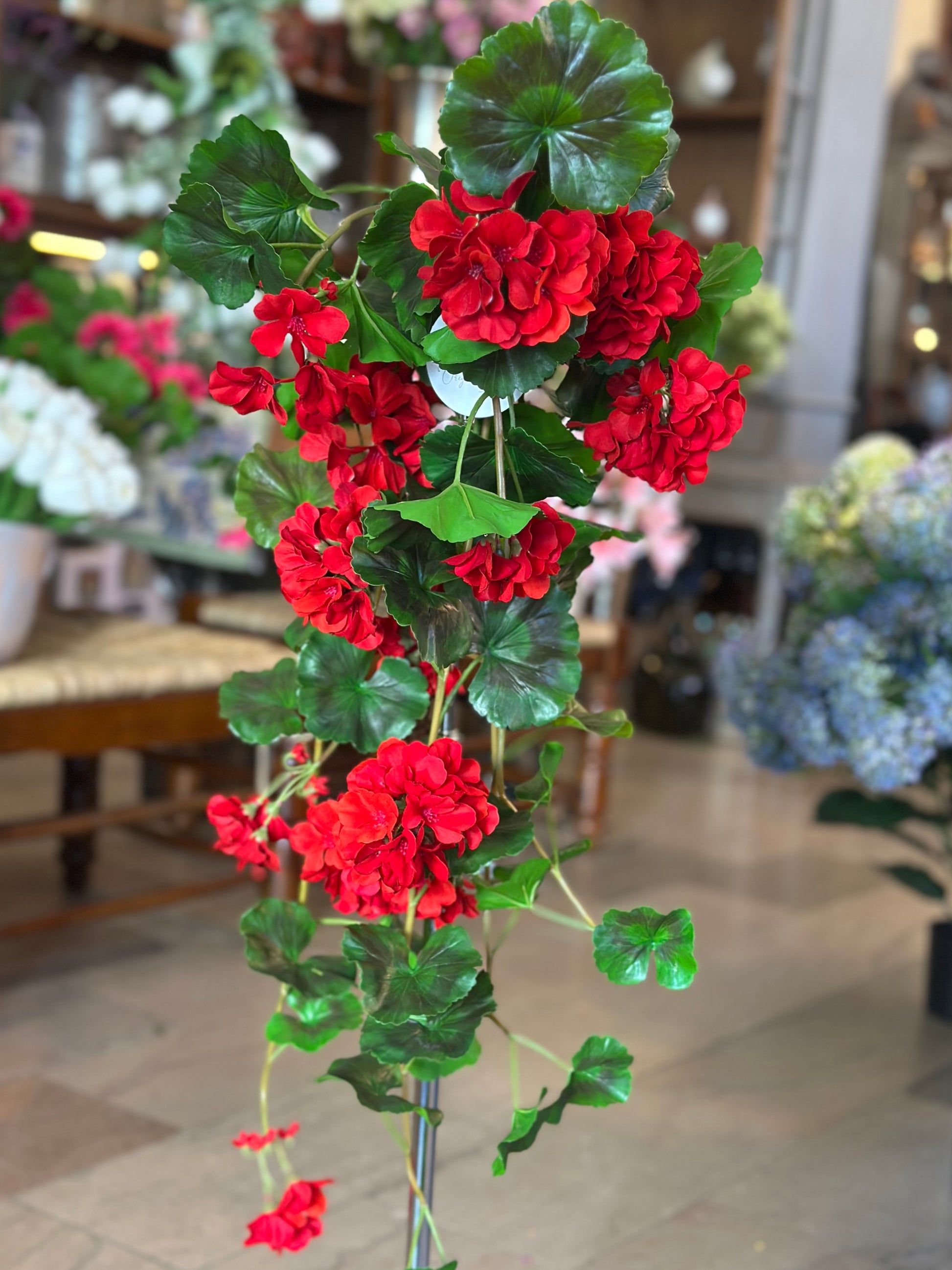 hanging geranium plant 36" UV-Rated Natural Touch Summer Hanging Geranium Plant (COLOR OPTION – Hoskins In The Flat Clinton
