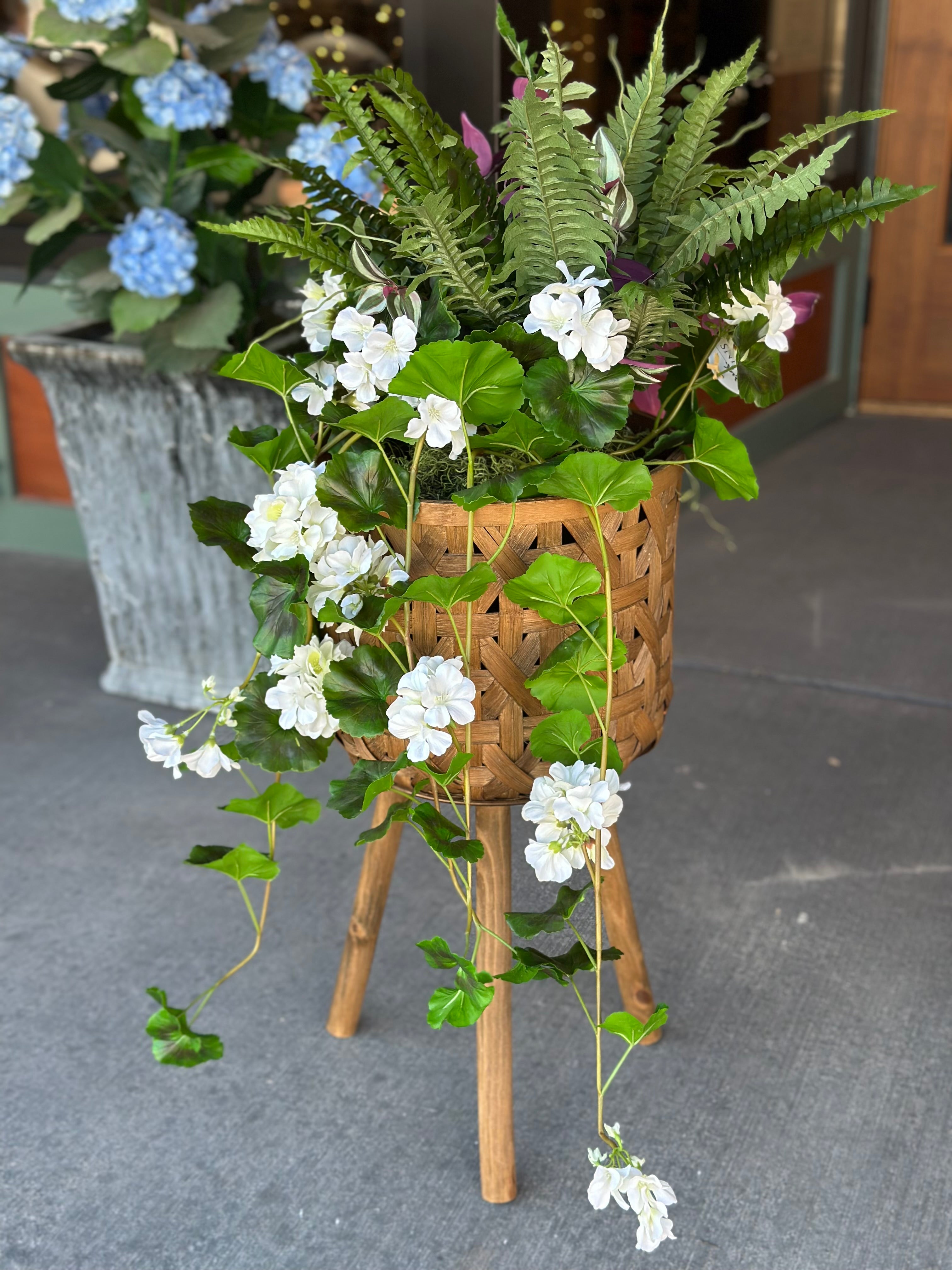 8" Hanging Geranium, Fern, & Tradescantia Pot Filler
