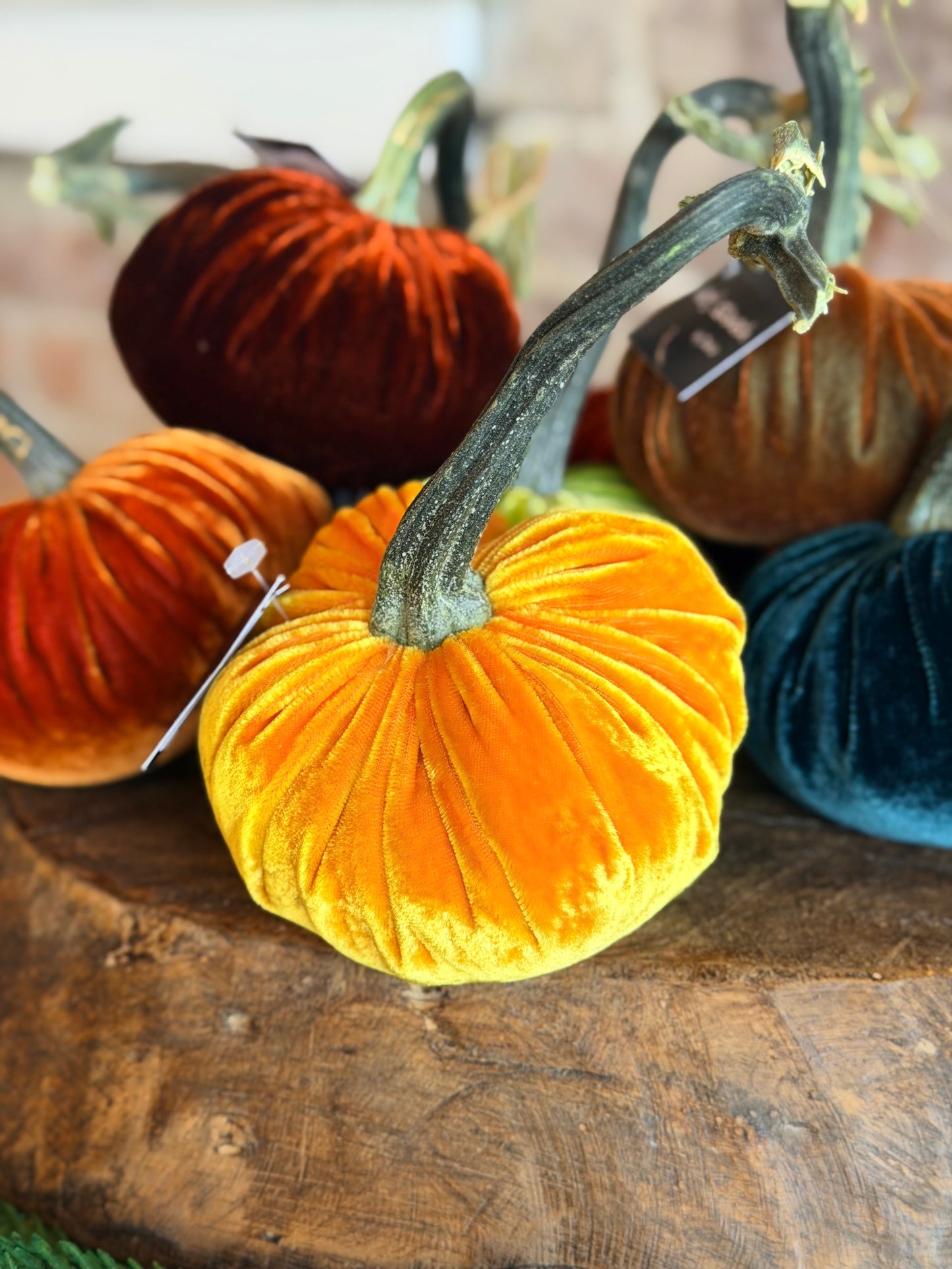 4" Velvet Pumpkin (Silk Options)