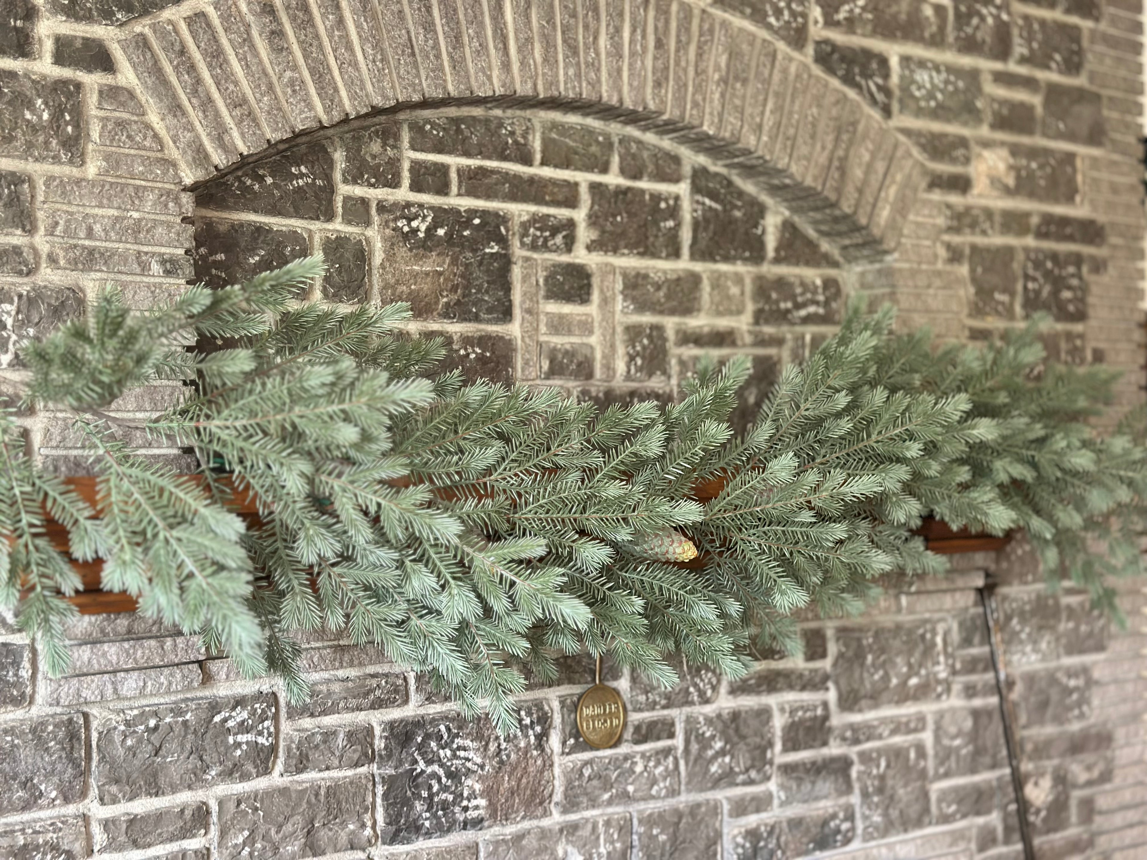 72” Wild Forest Spruce Garland with Cone
