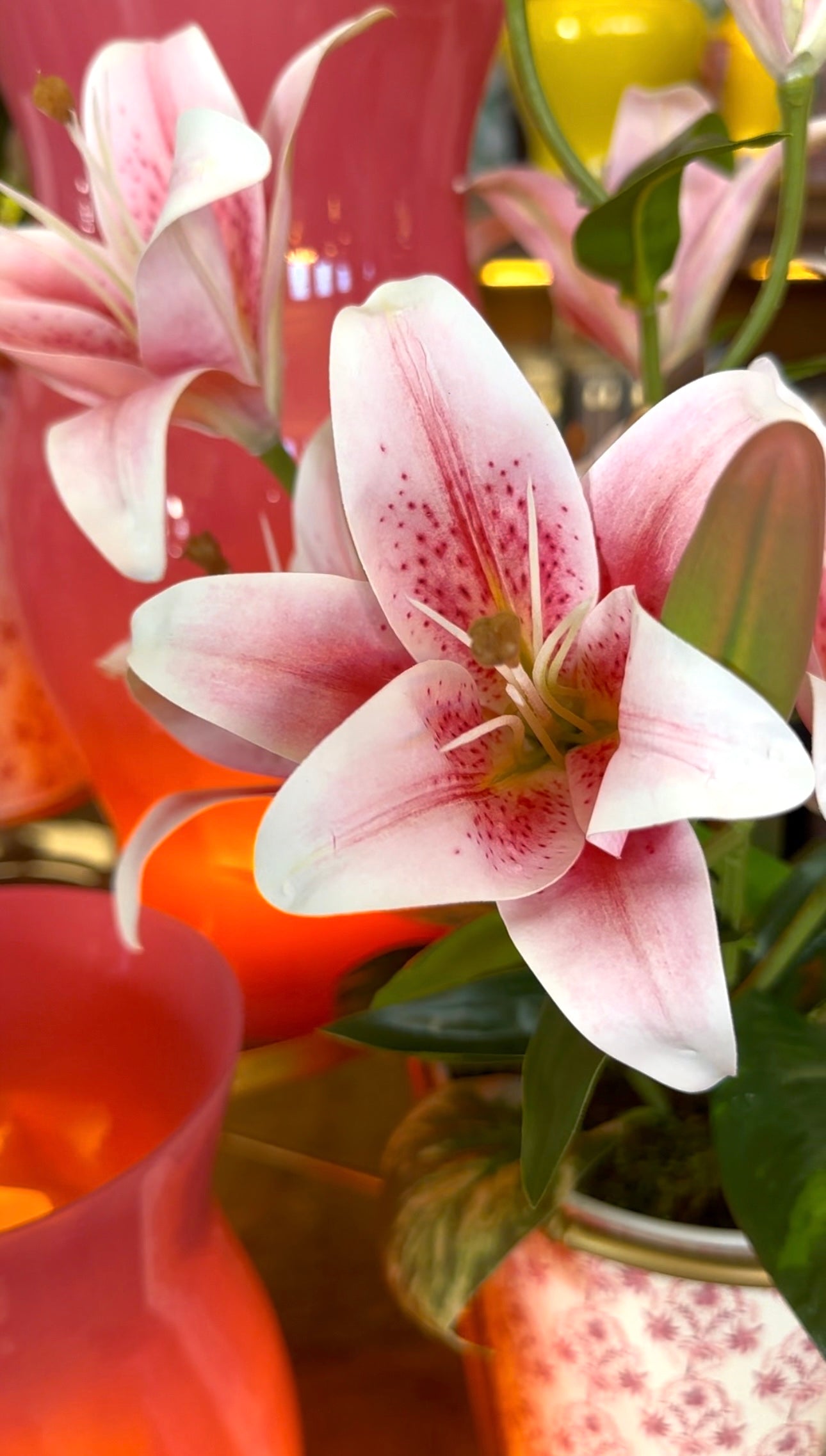 Potted Lily