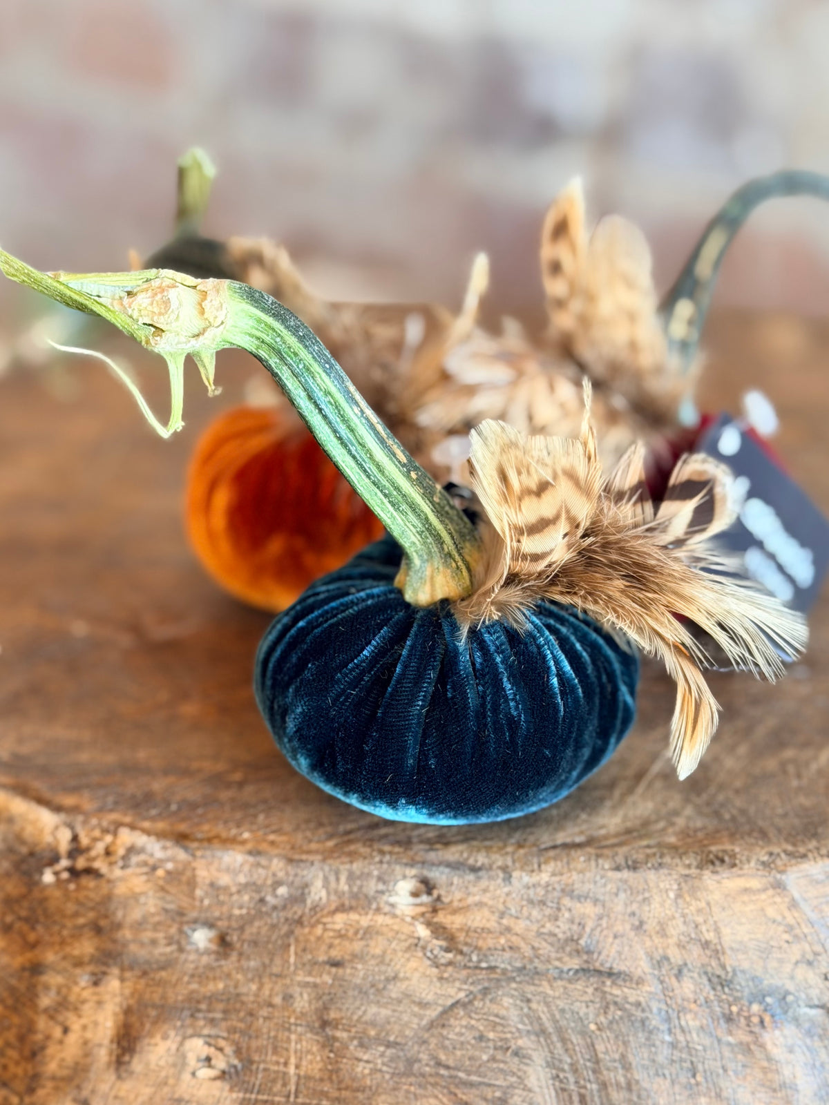 3" Velvet Pumpkin with Chinchilla Feather Plume (Silk Options)