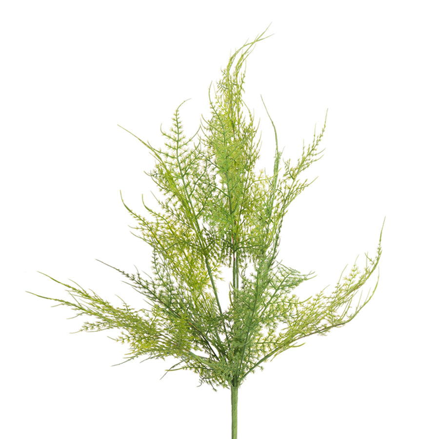 23” Asparagus Fern Bush