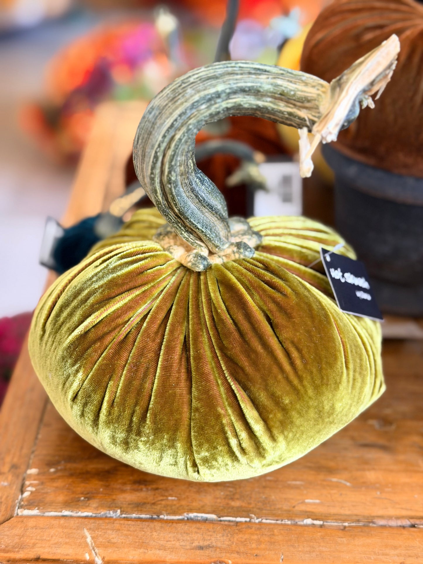 6" Velvet Pumpkin (Silk Options)