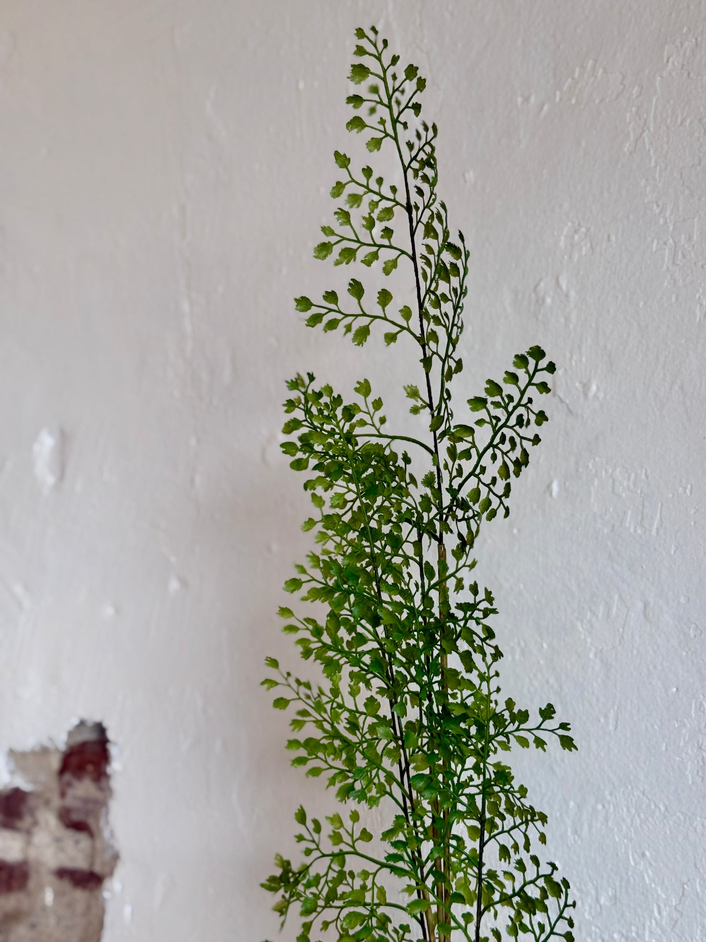 42" Maidenhair Fern Spray