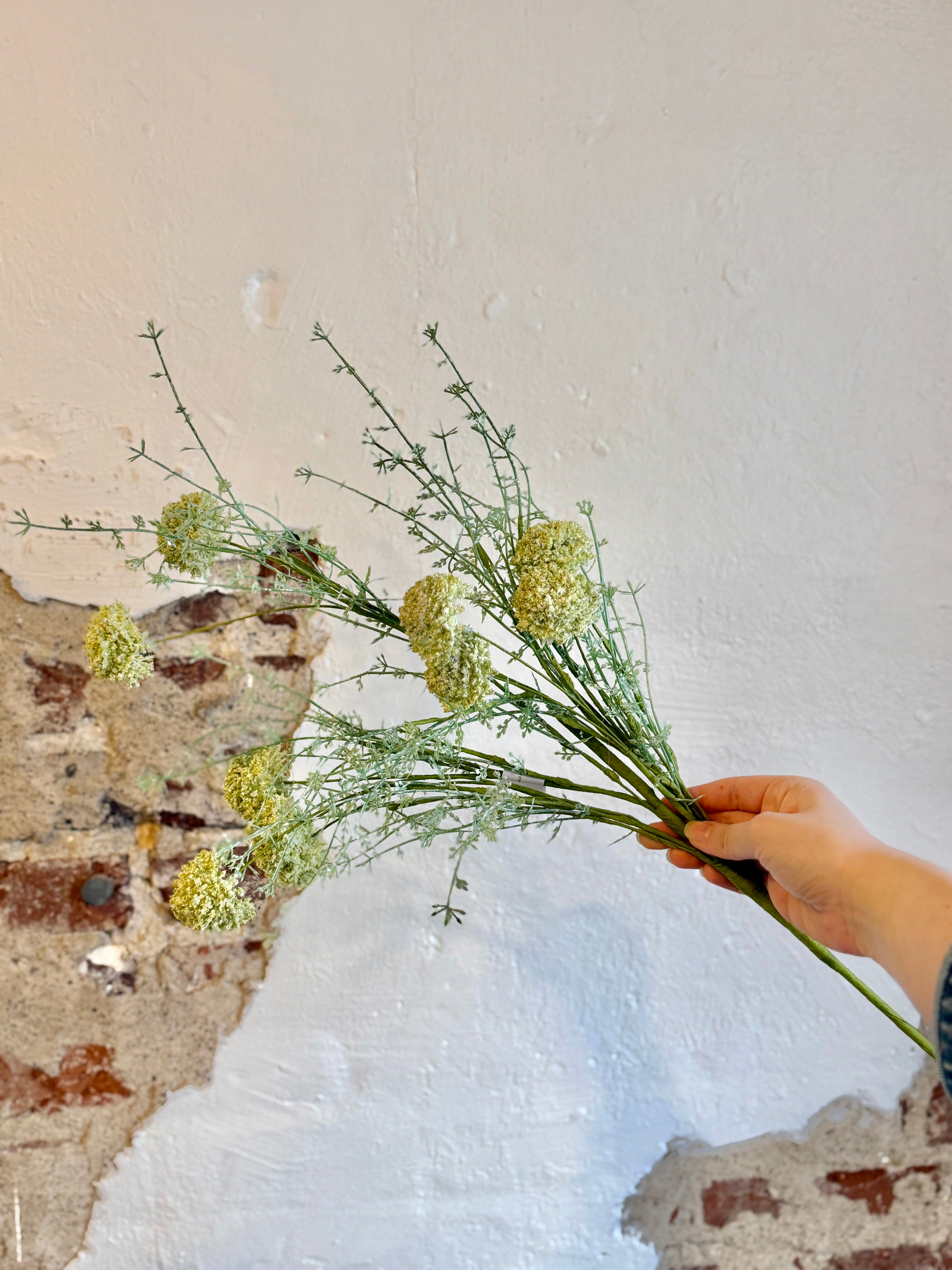 WILD ALLIUM BUSH 24" - CREAM