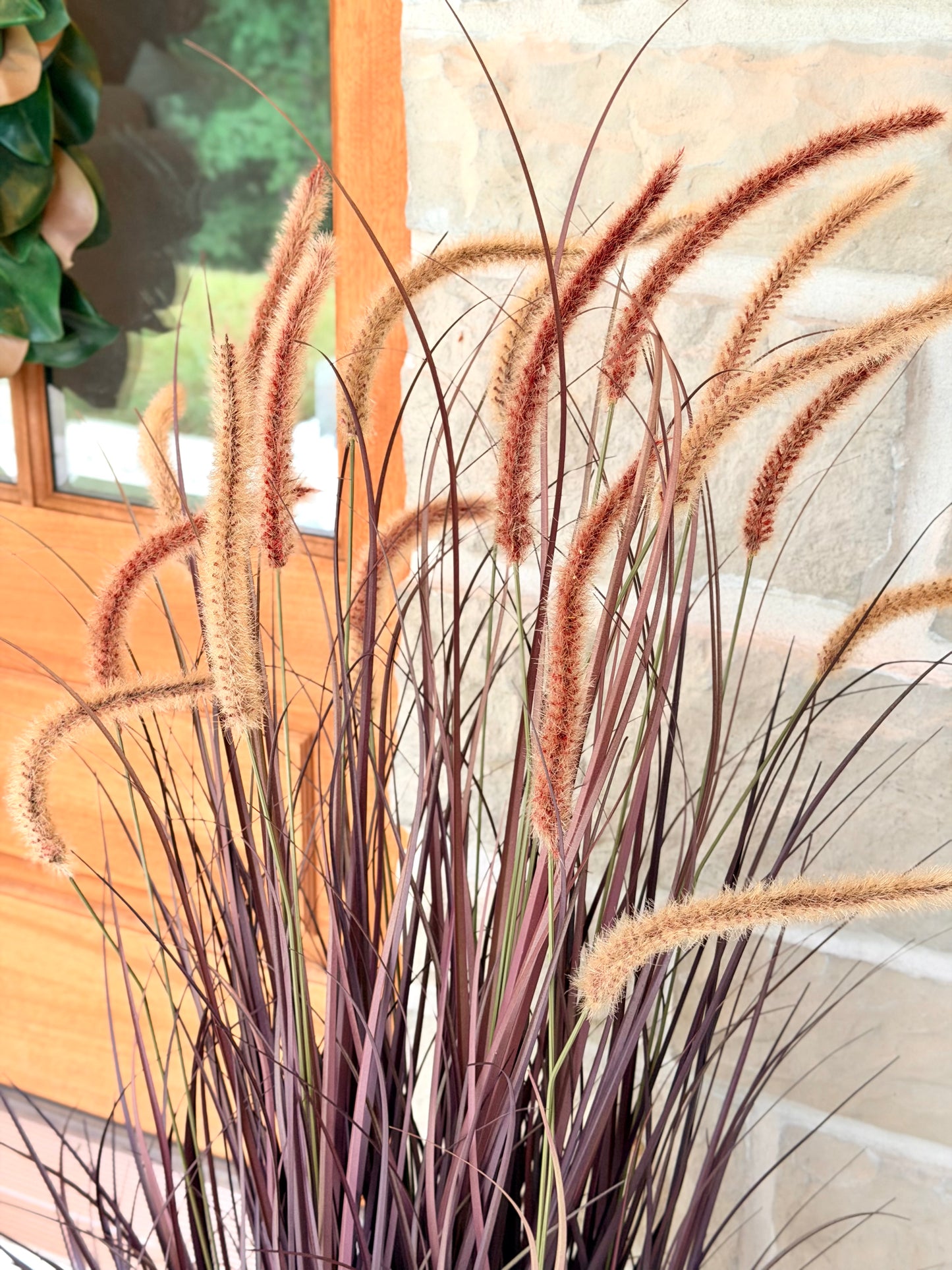 48" UV POTTED AUTUMN FOUNTAIN PLUME GRASS