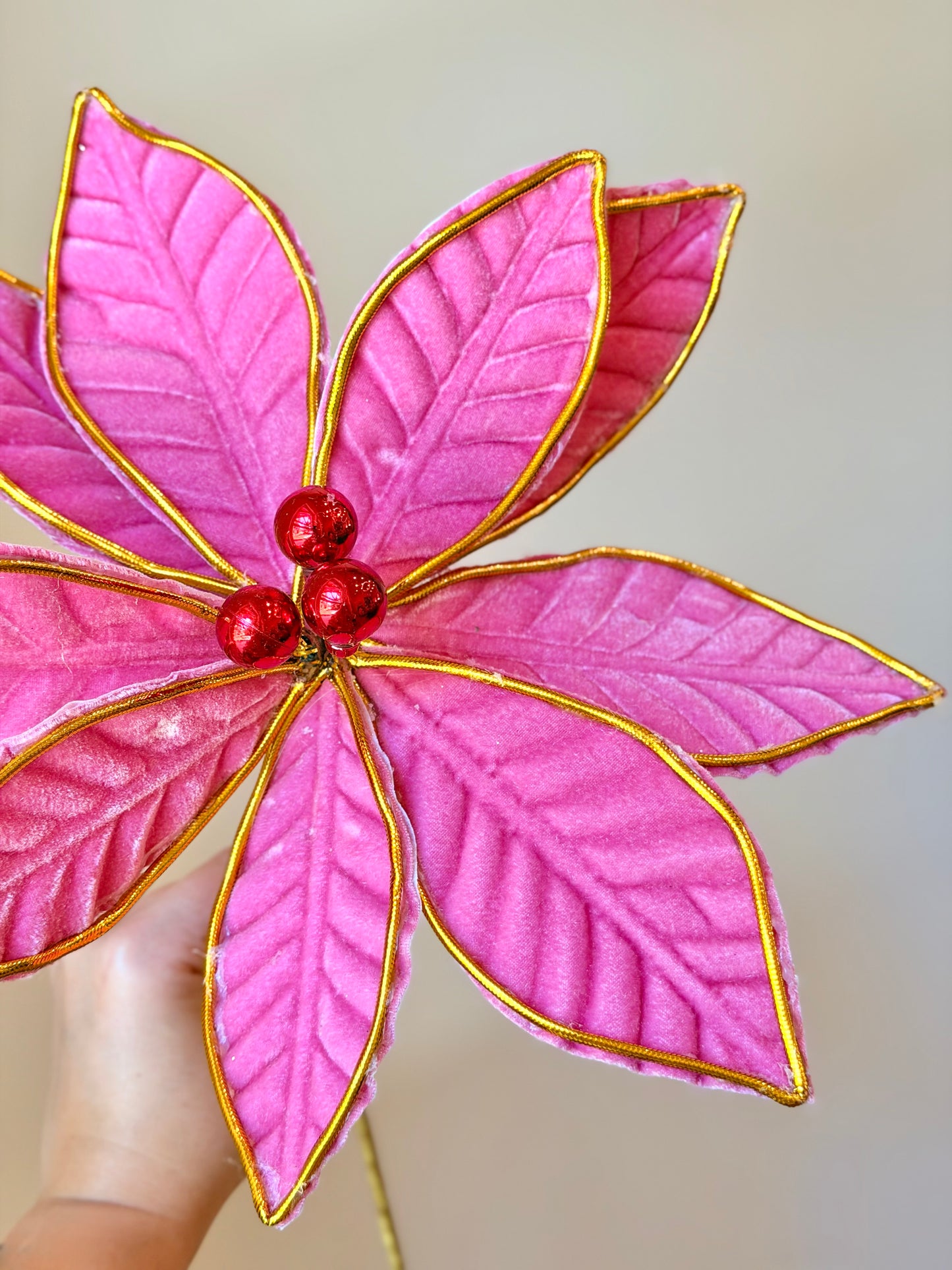 21" VELVET W/GOLD EDGE POINSETTIA STEM