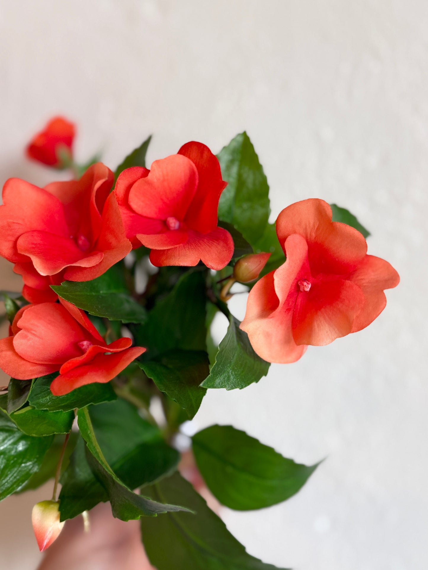 10" UV Natural Touch Guinea Impatiens Plant