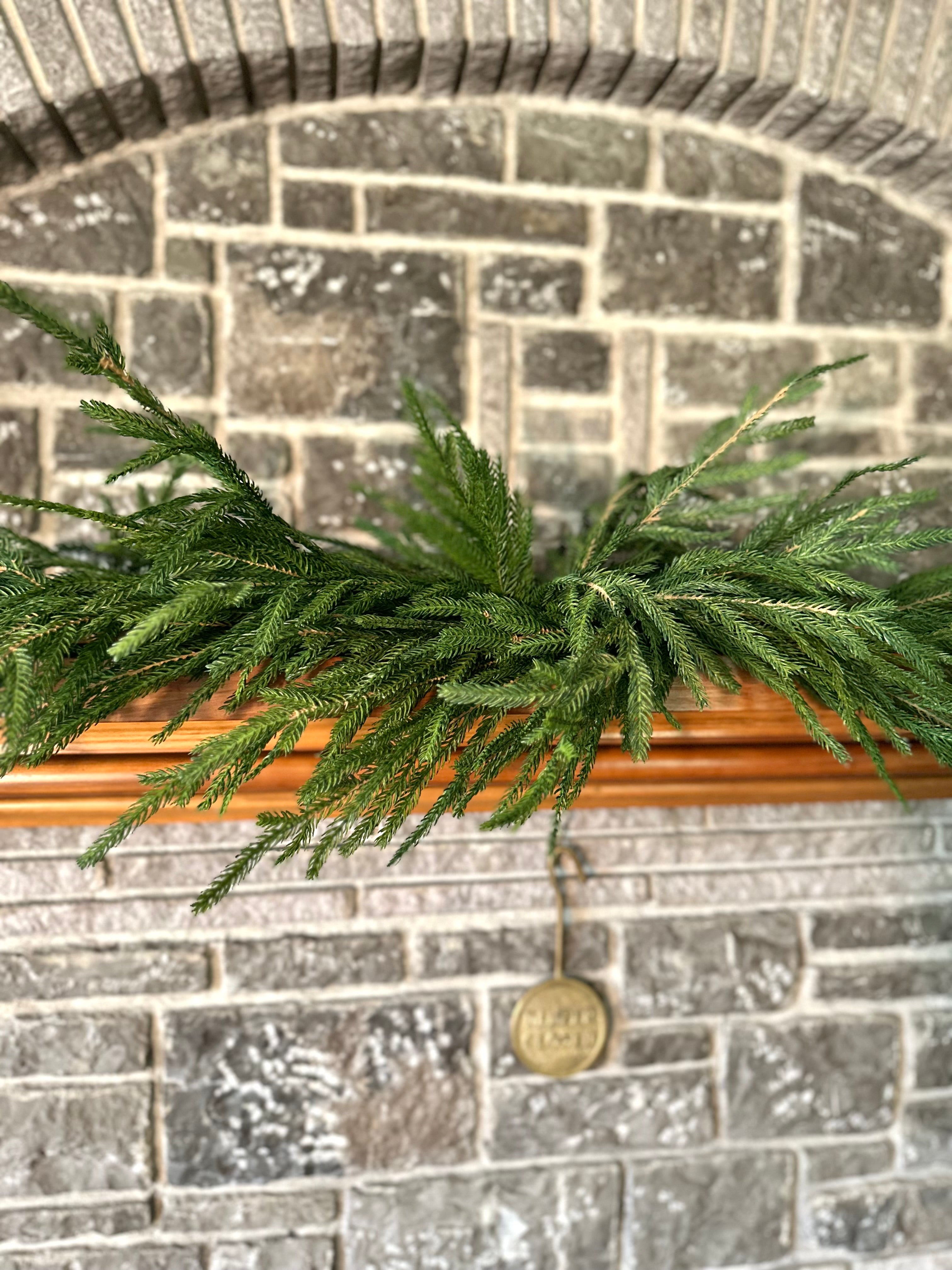 52" AUSTRIAN PINE SWAG