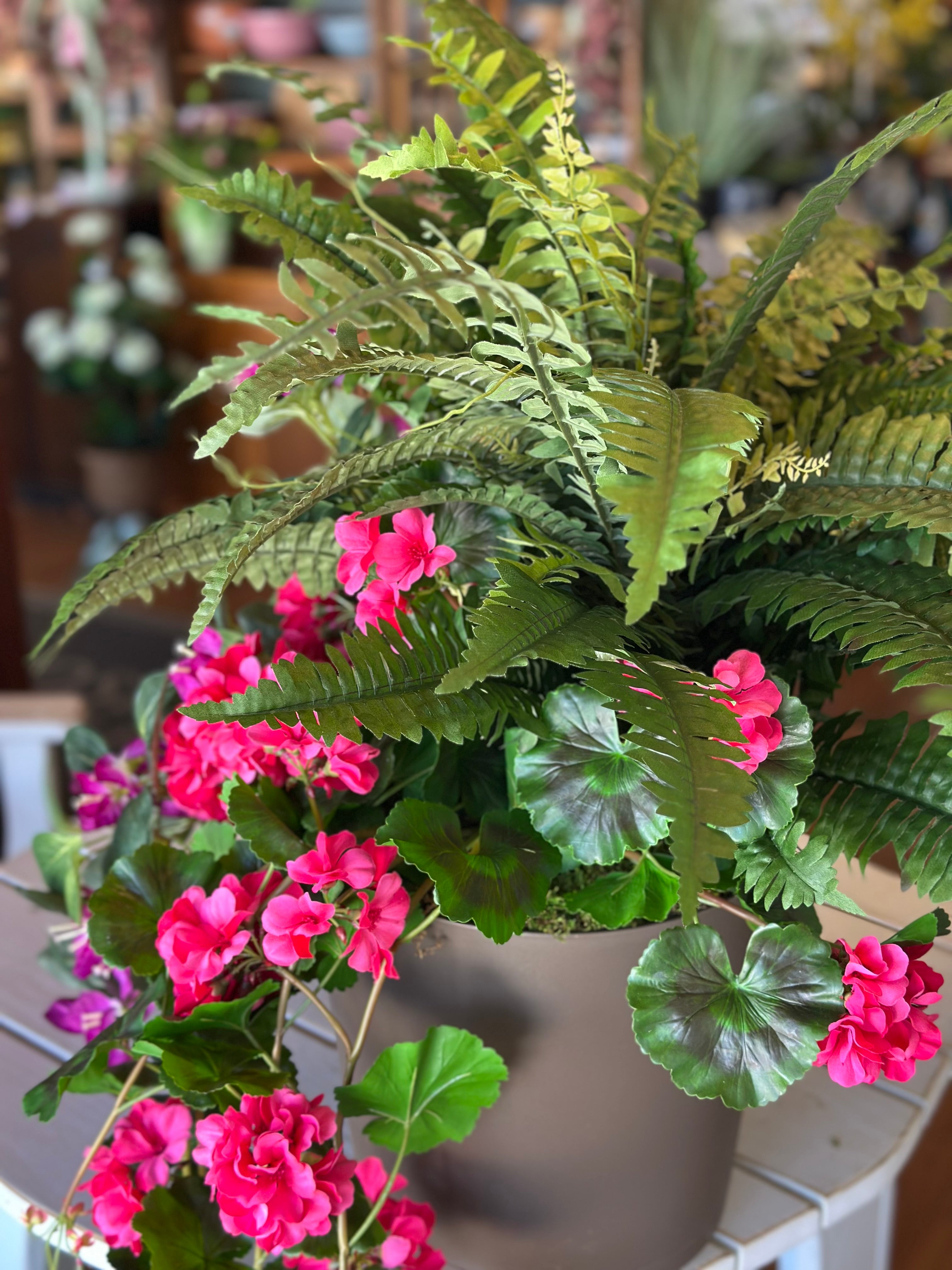 Pink Geranium, Bouganvillea, and Fern Pot-filler