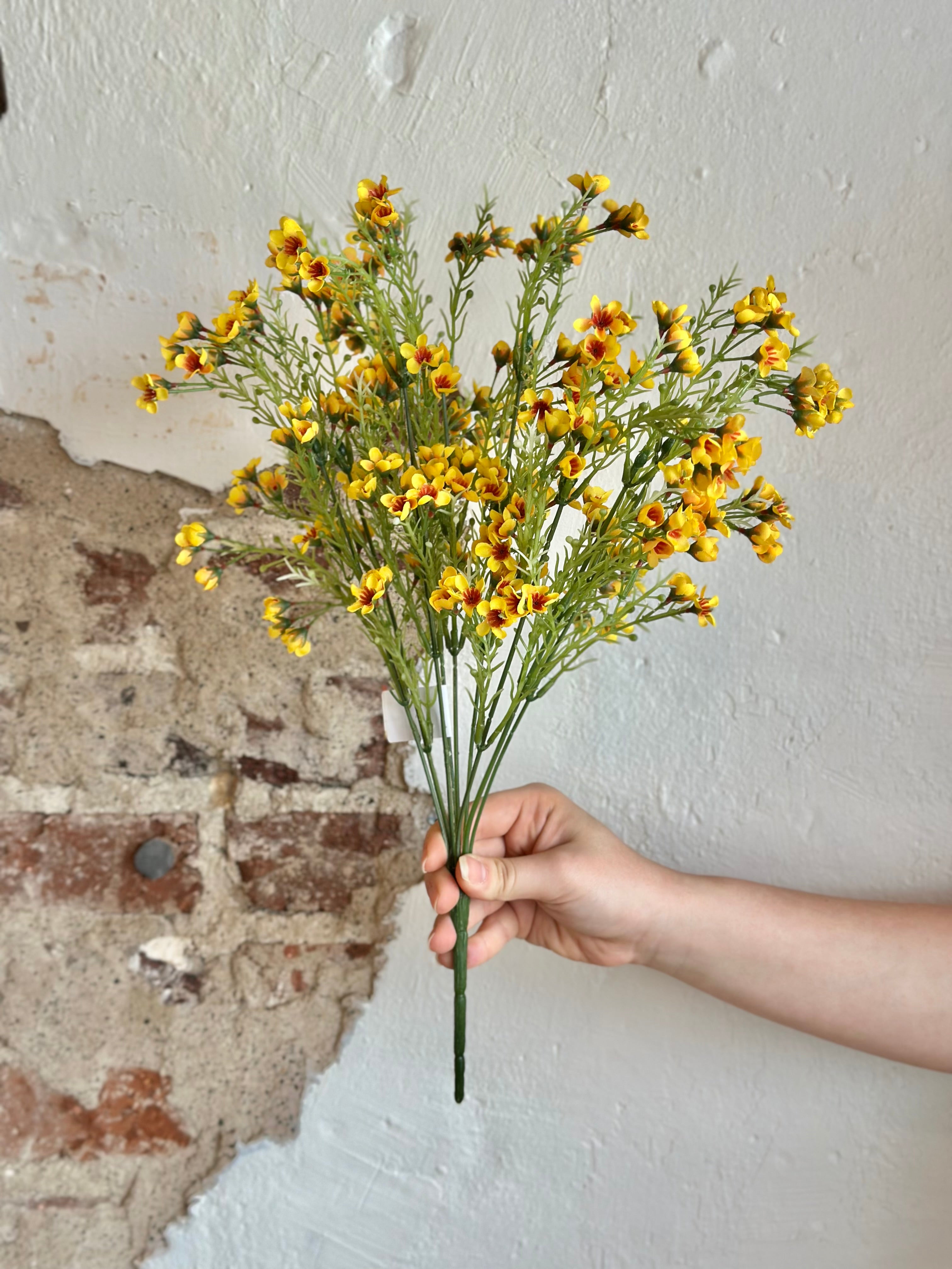 19" Waxflower Bush
