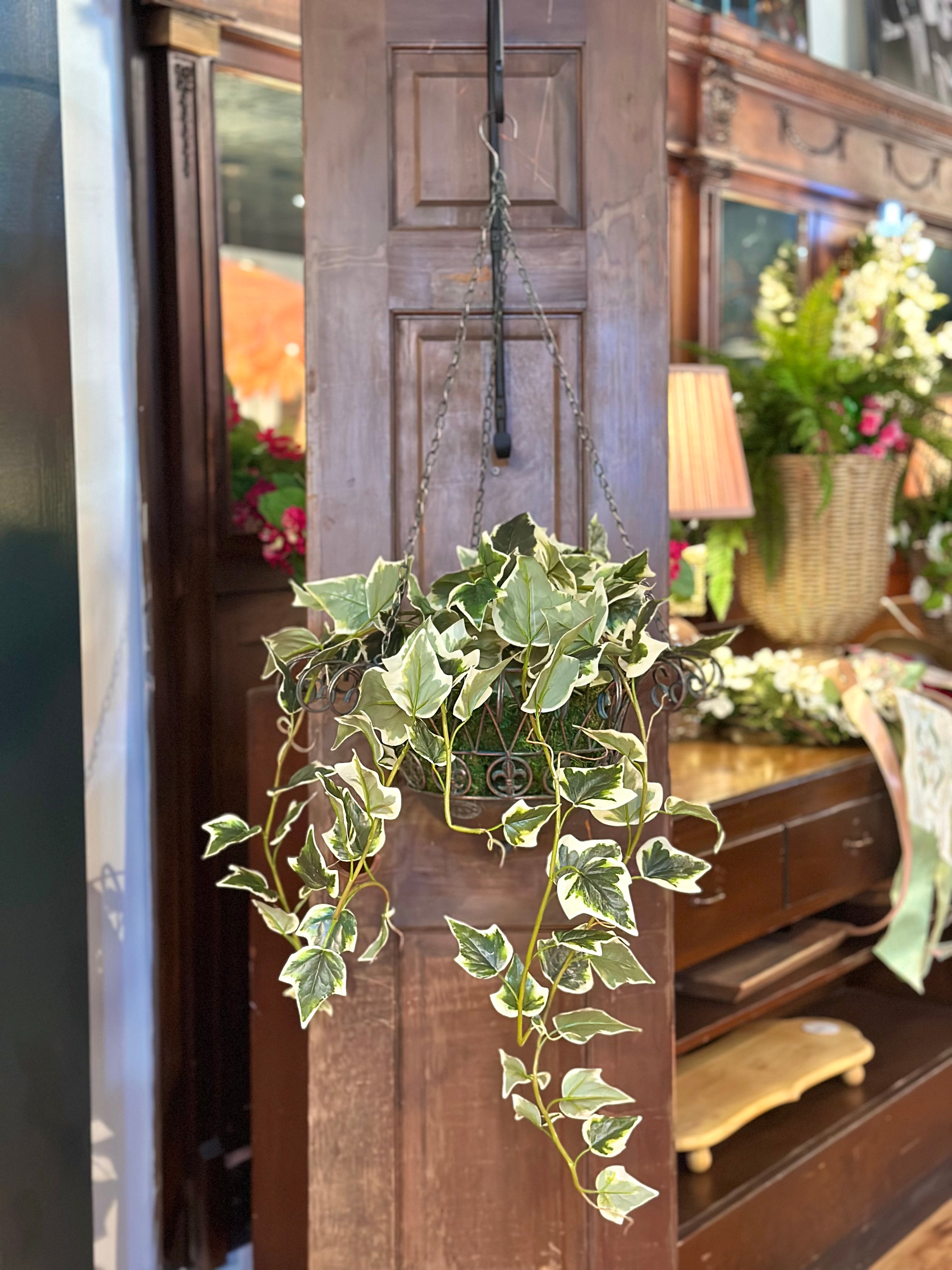 UV-Protected Ivy Hanging Basket