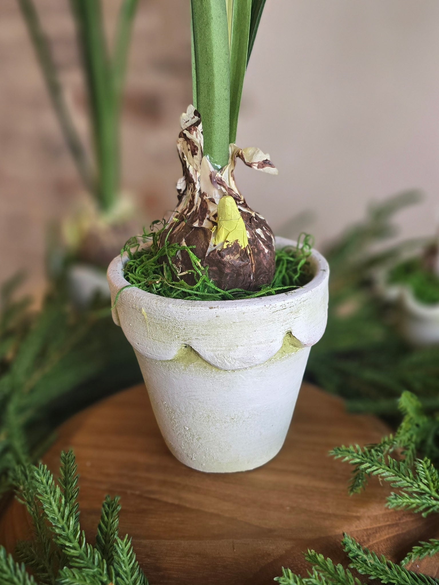 Paperwhite and Bulb Arrangement White Pot (Pot Design Options)