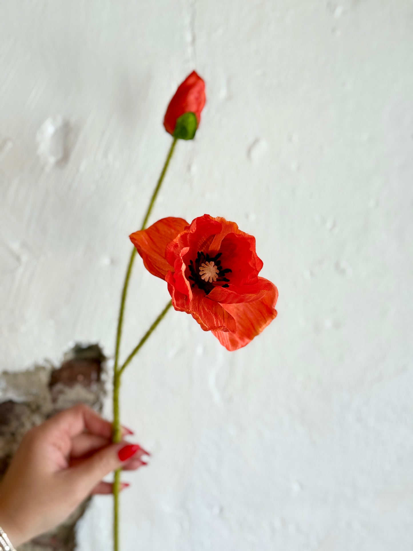 25” Poppy Stem and Bud (Multiple Options)
