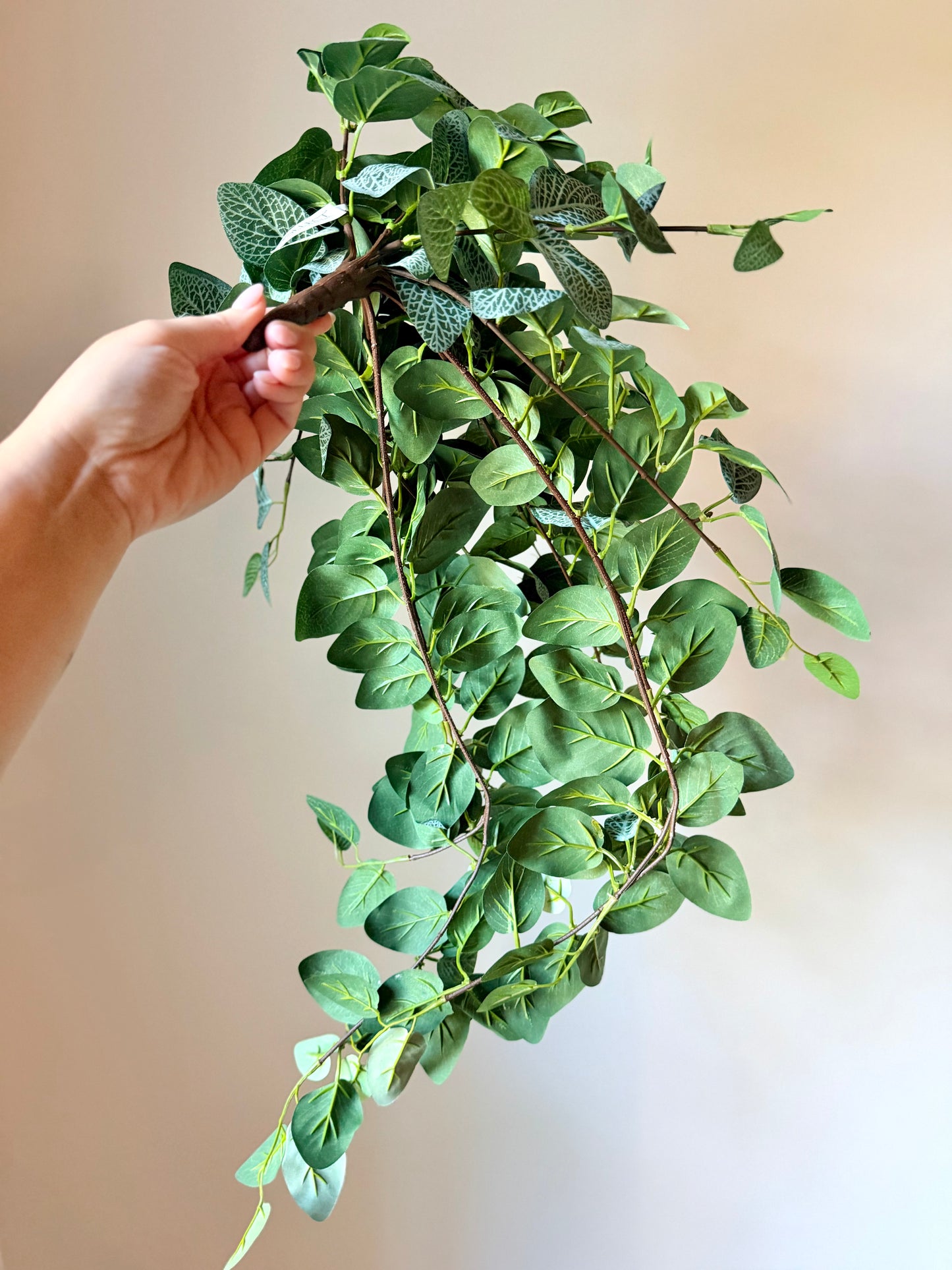 30" FITTONIA HANGER