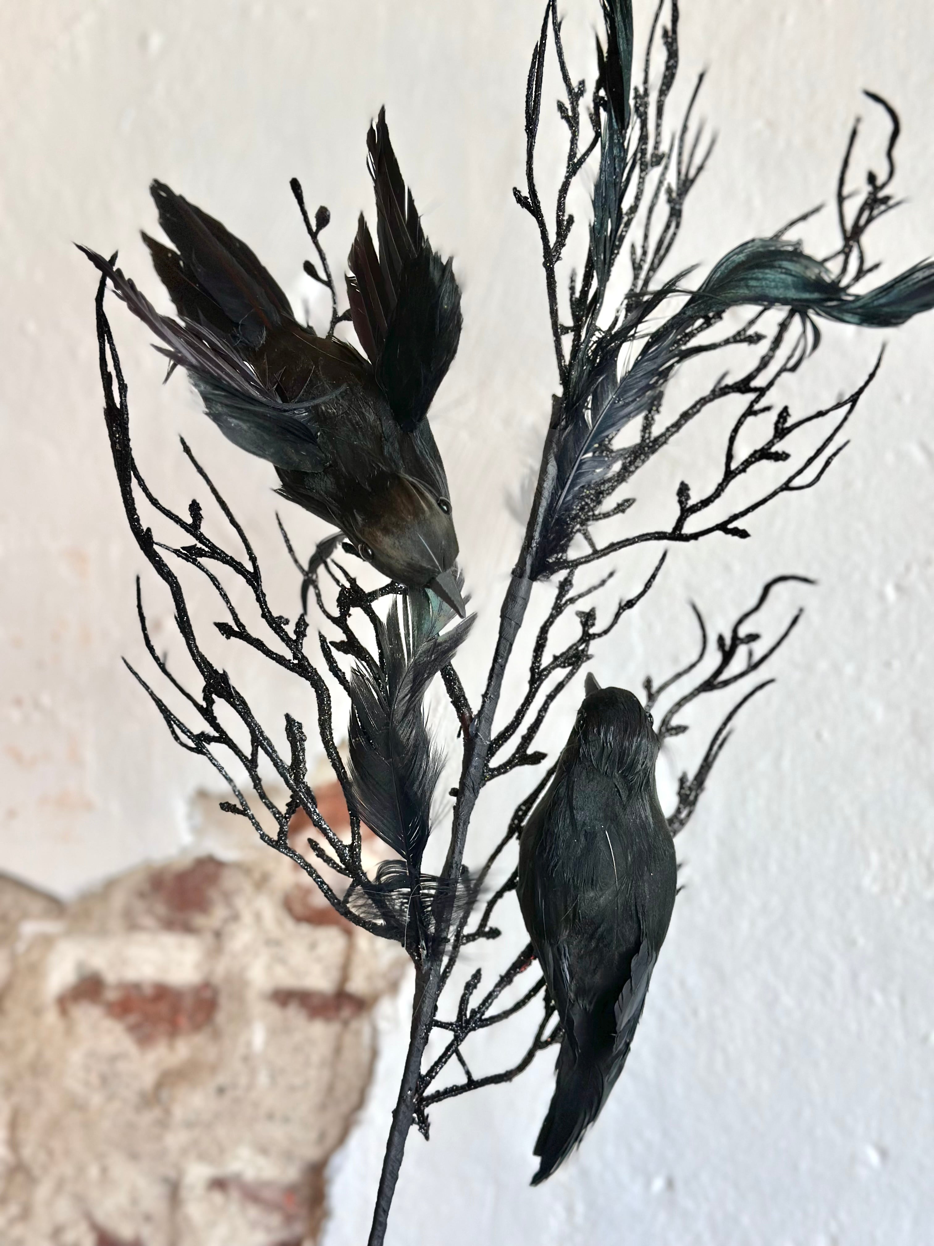 24" FEATHER W/ RAVEN SPRAY