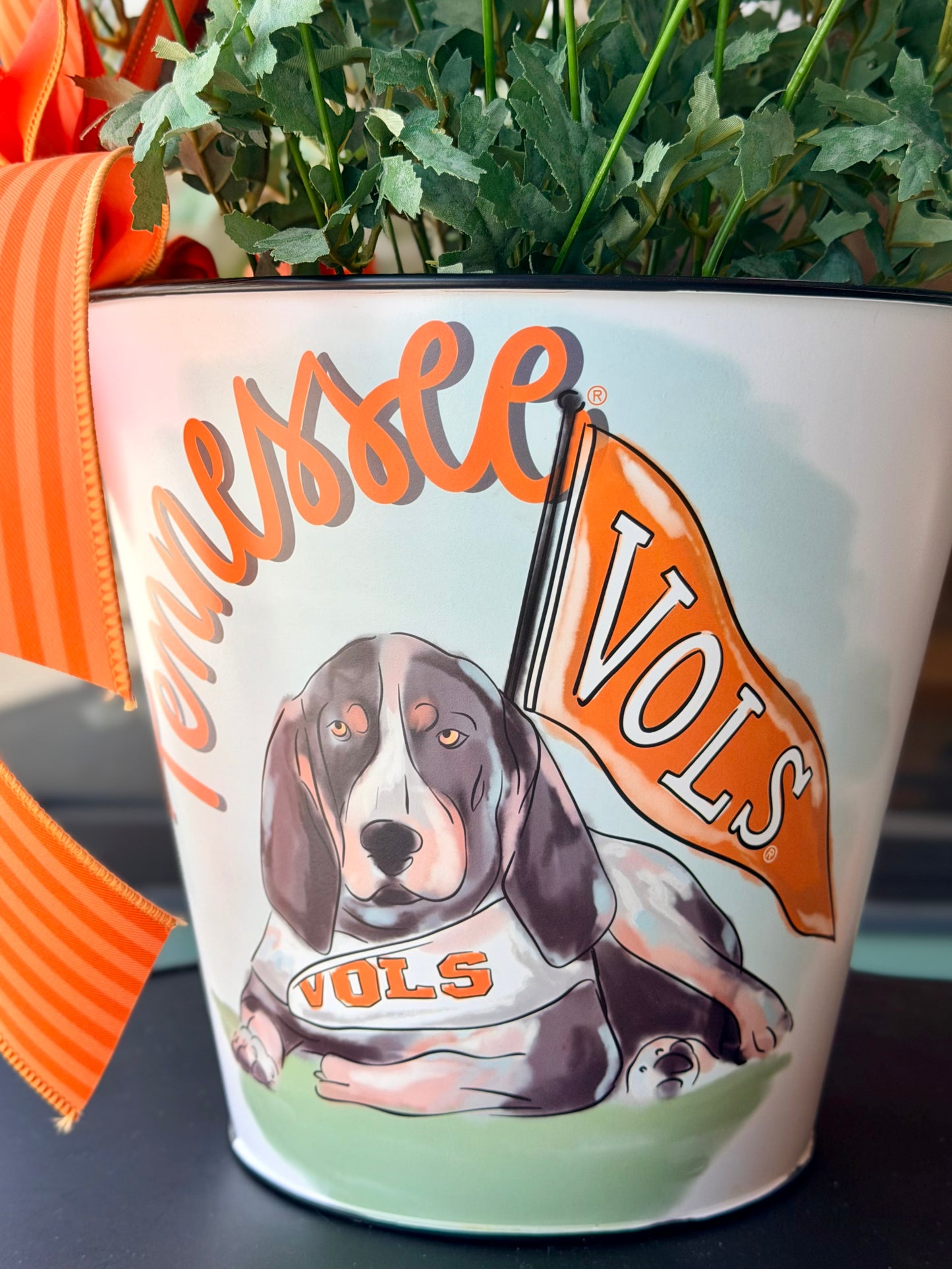 UT Daisy Bucket