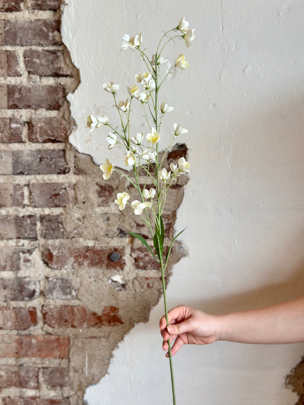 37.5" Buttercup Spray- Cream