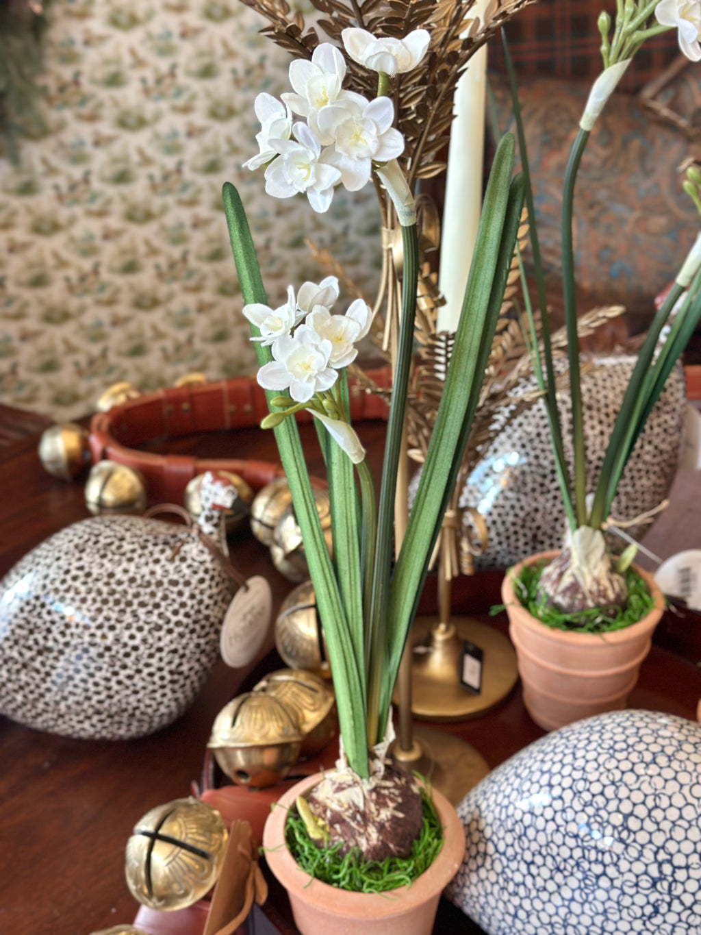 Paperwhite and Bulb Arrangement