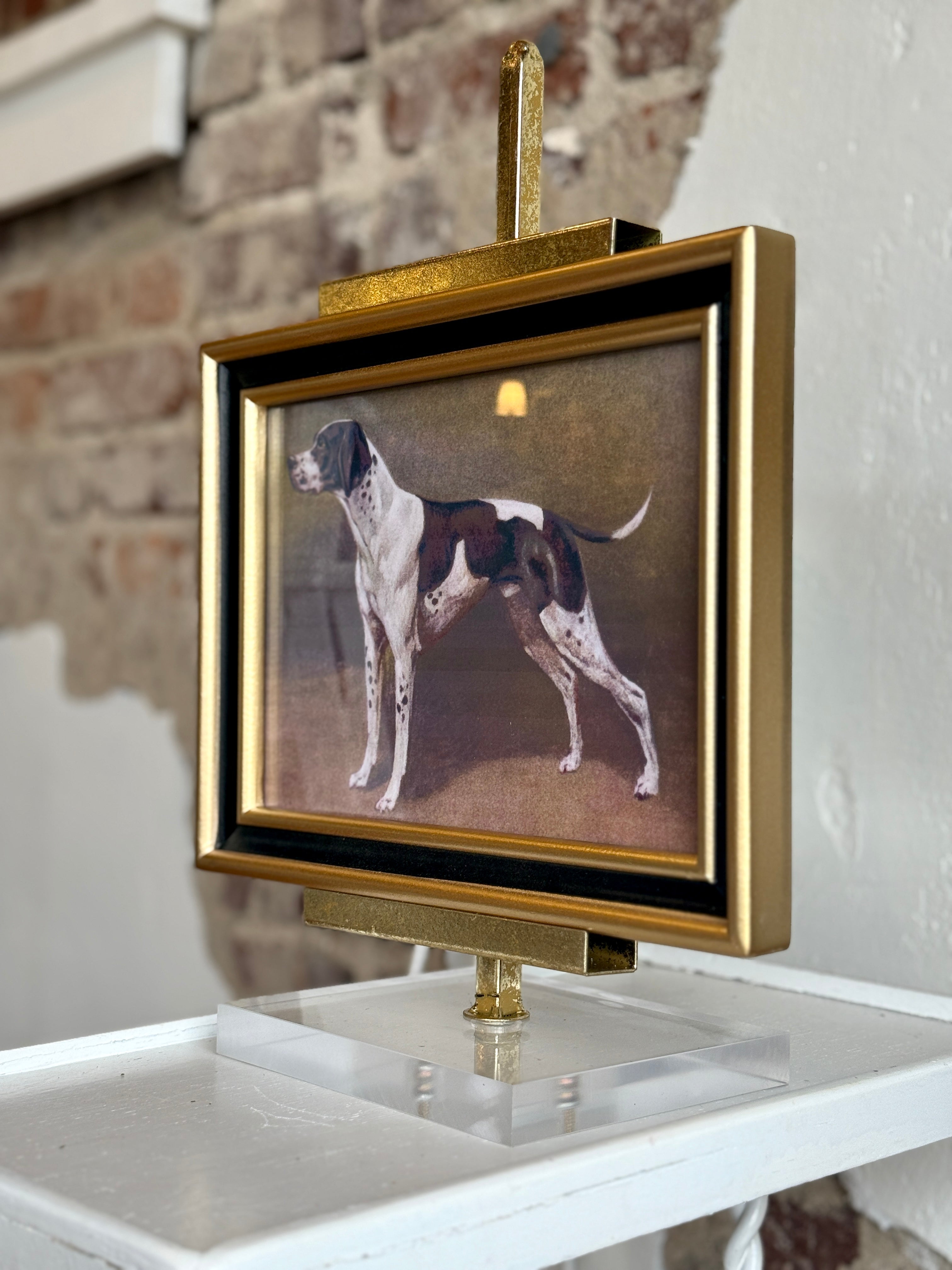 Classic Sporting Dog Framed Print