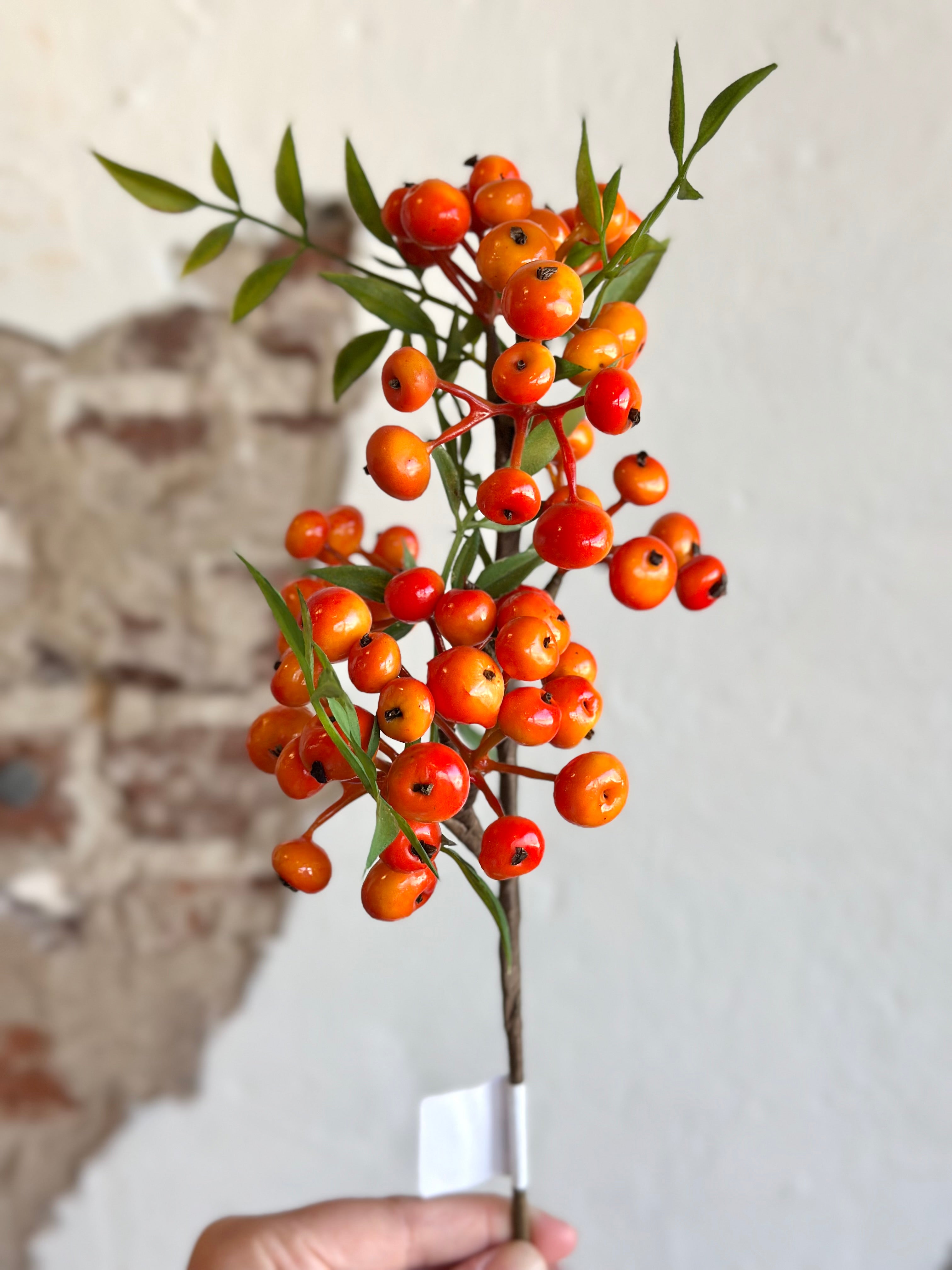 12" BERRY PICK ORANGE