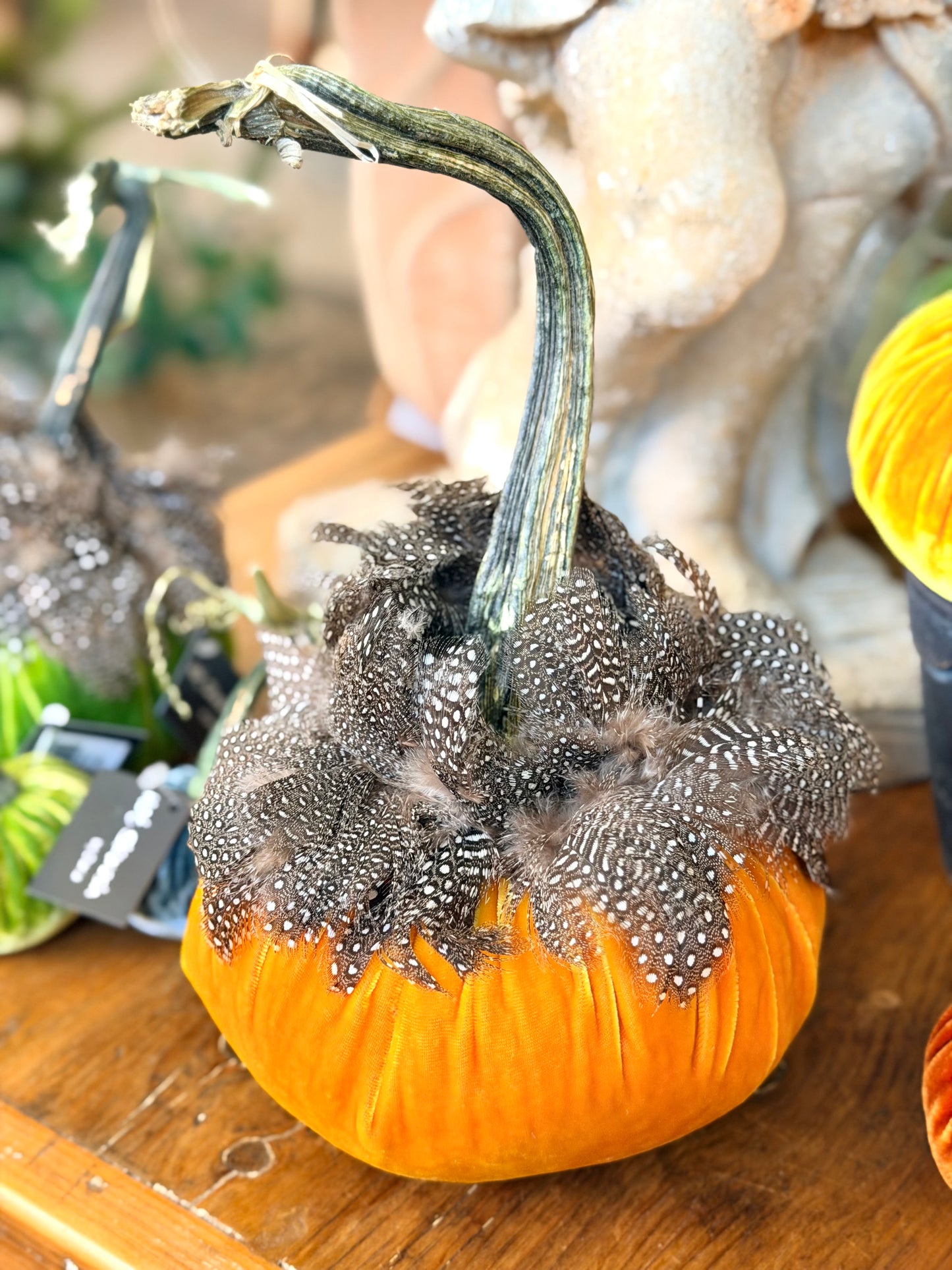 6" Carrot Velvet Pumpkin Guinea Feather Collar