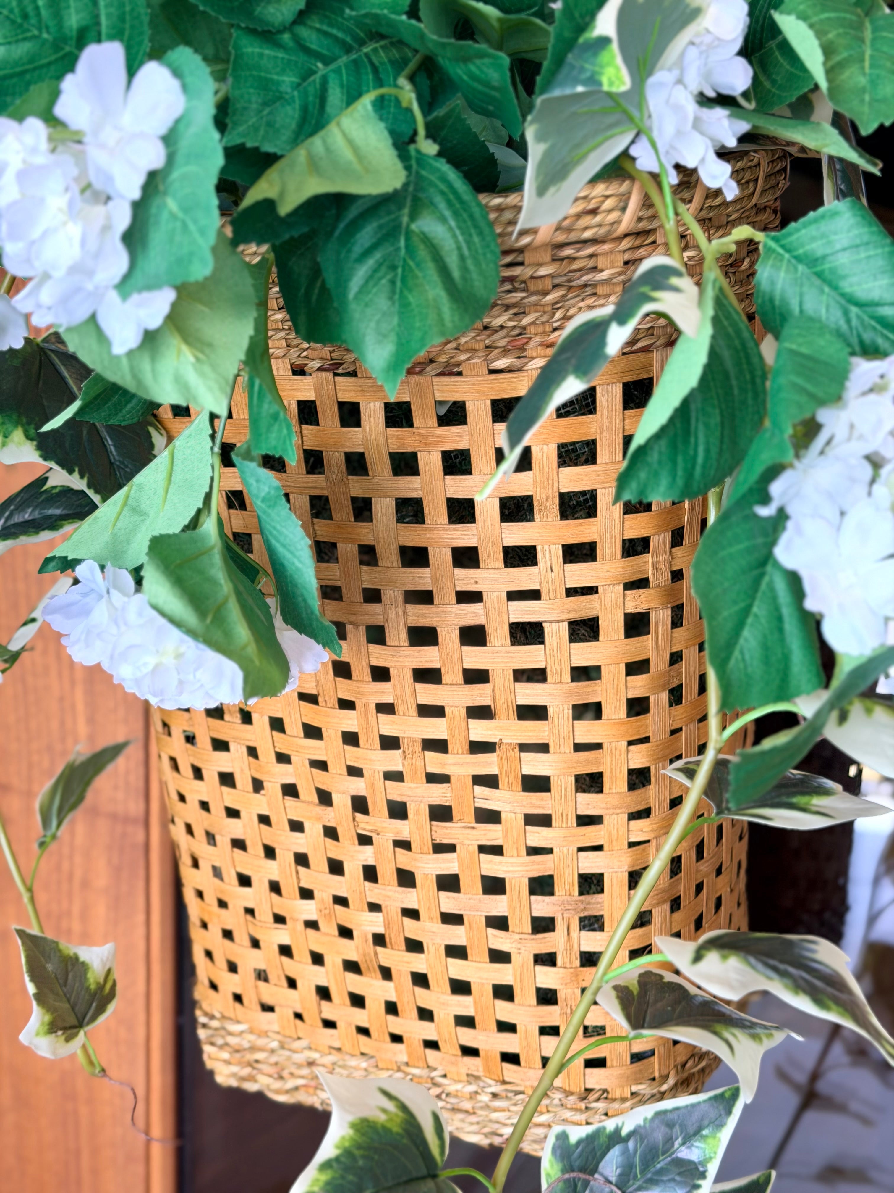 Geraniums Hanging Basket
