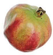 5" Pomegranate- Red/Green