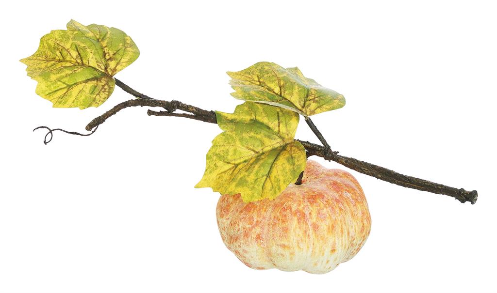 PUMPKIN VINE, 14" (Multiple Options)